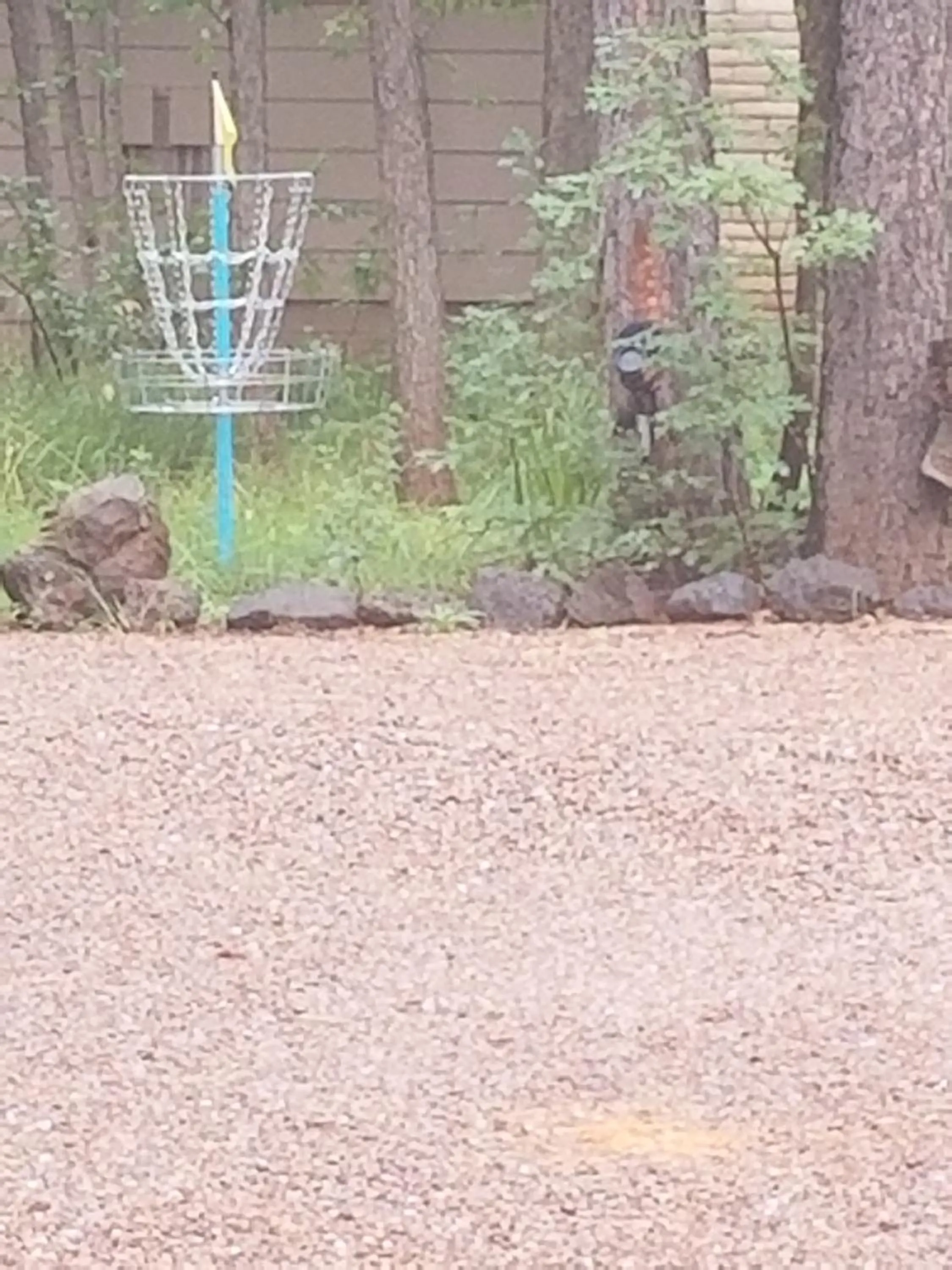 Spring in Northwoods Resort Cabins