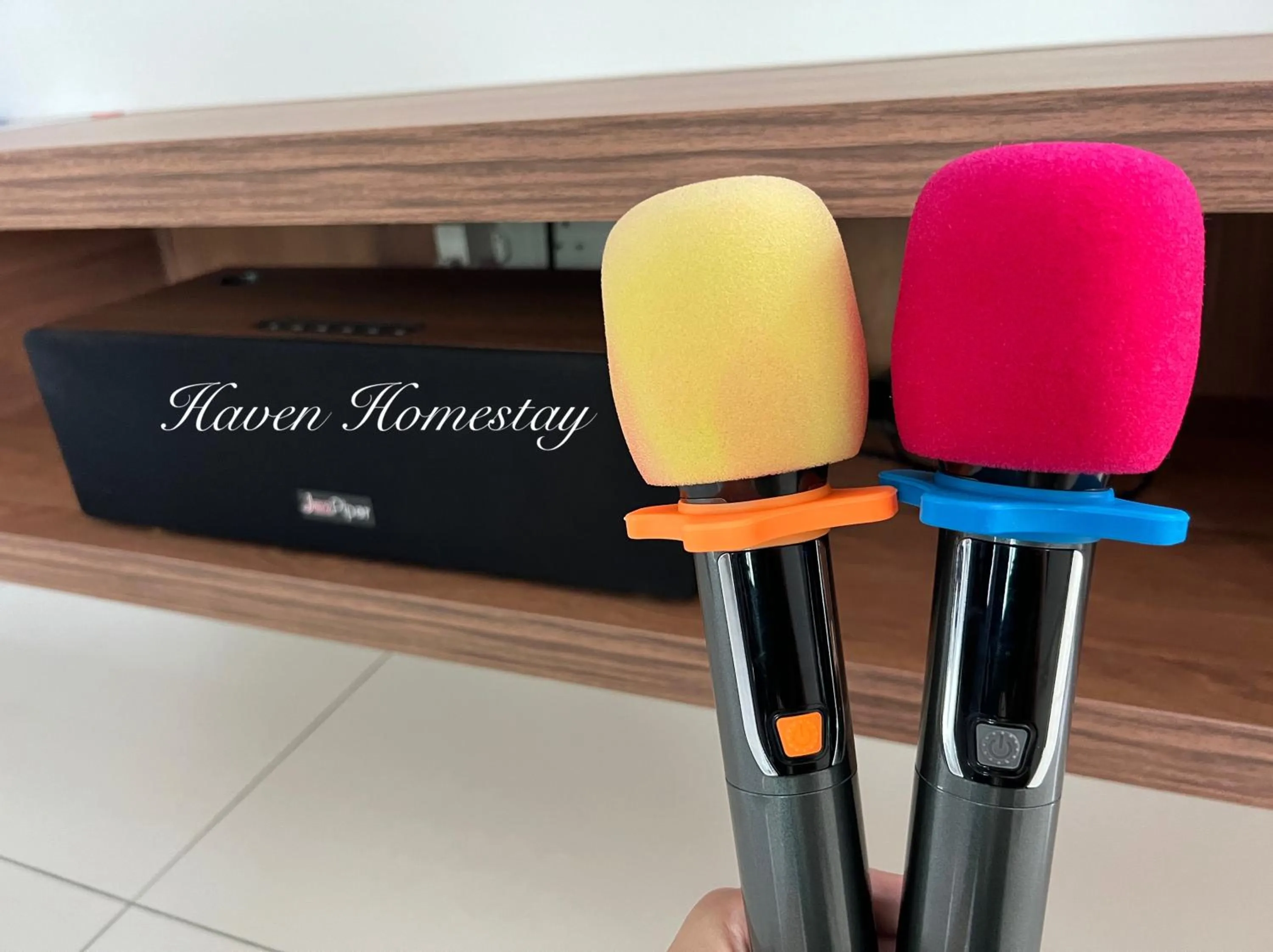 Karaoke in Haven Homestay晶晶屋 (Brand New Homestay!)