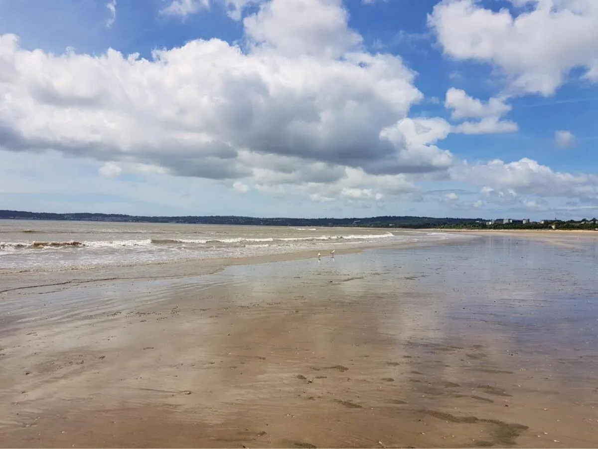 Beach in Hoopers Sandy Beach Guest Rooms