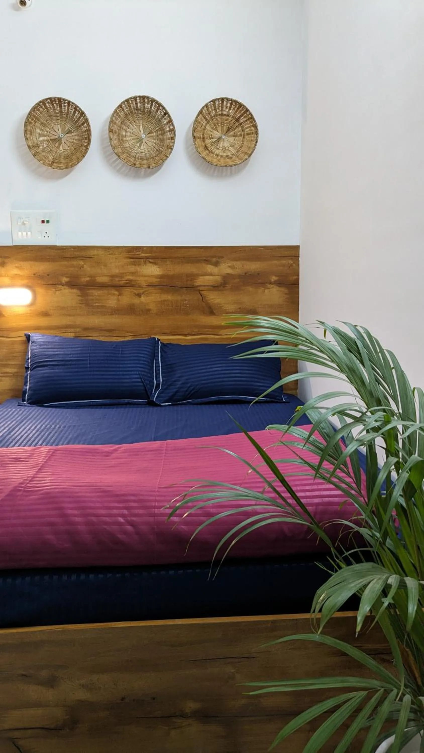 Bed in Mezenga 2 - Backpackers Hostel