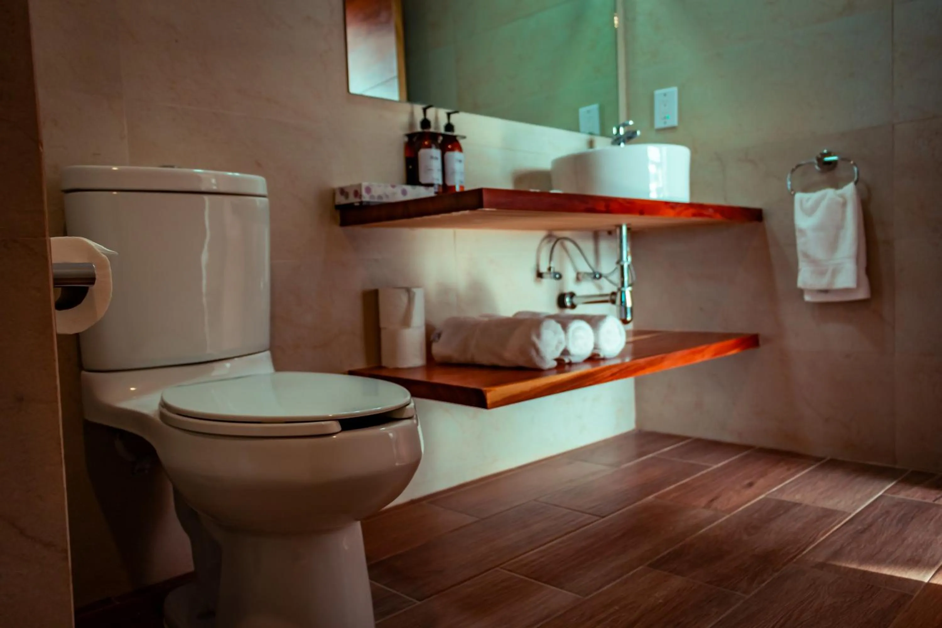 Bathroom in 7 Valles