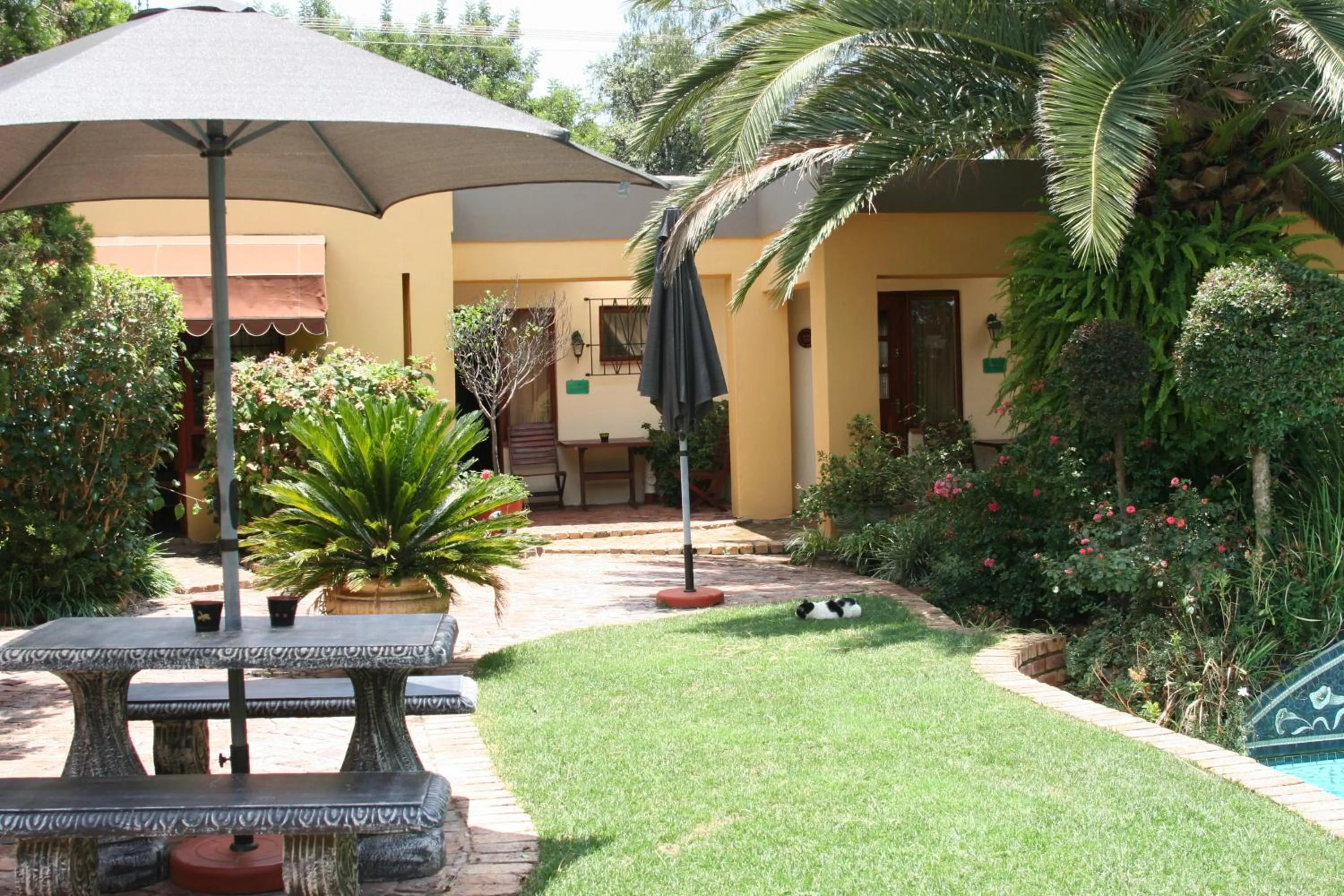 Garden view in Jubilee Lodge Guest House