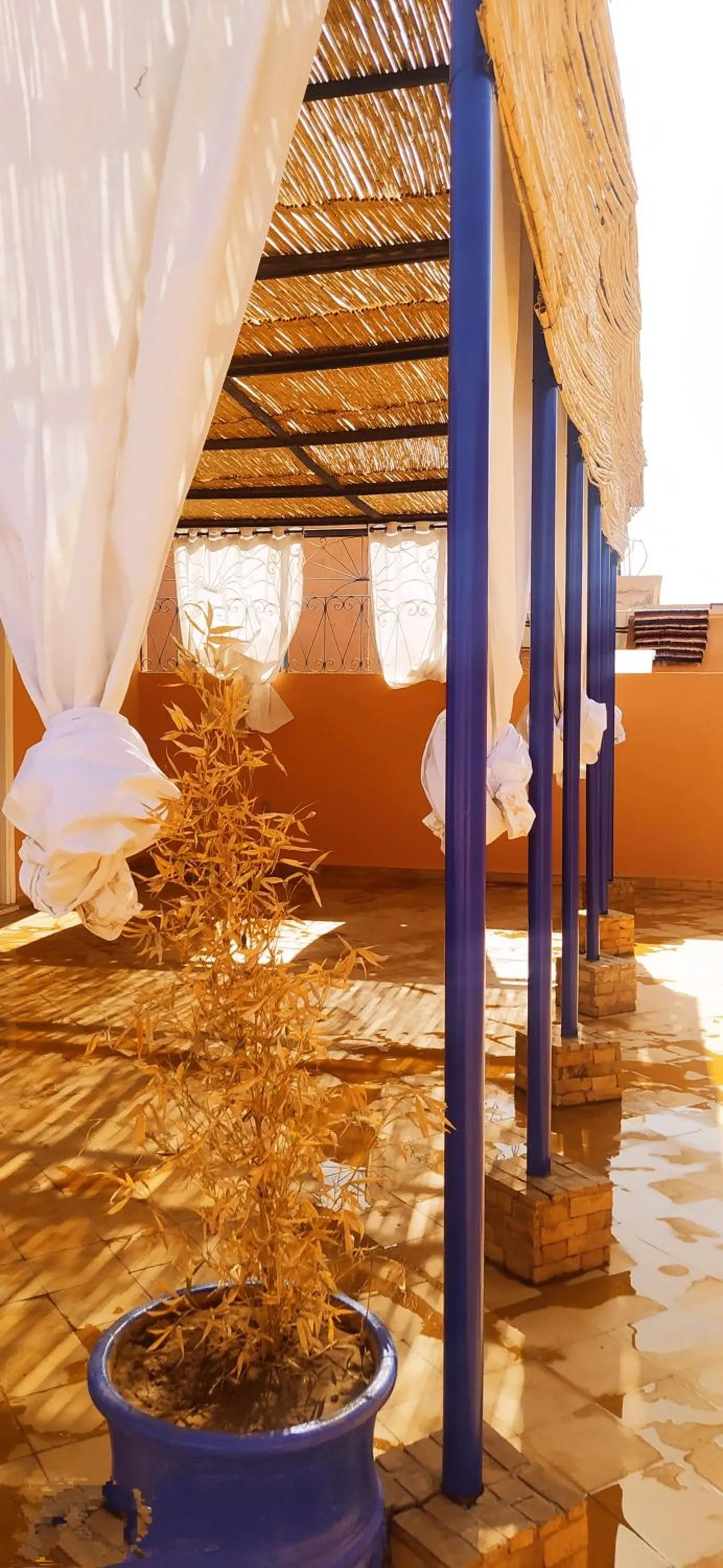 Property building in maison d'hôtes Le petit jardin Marrakech