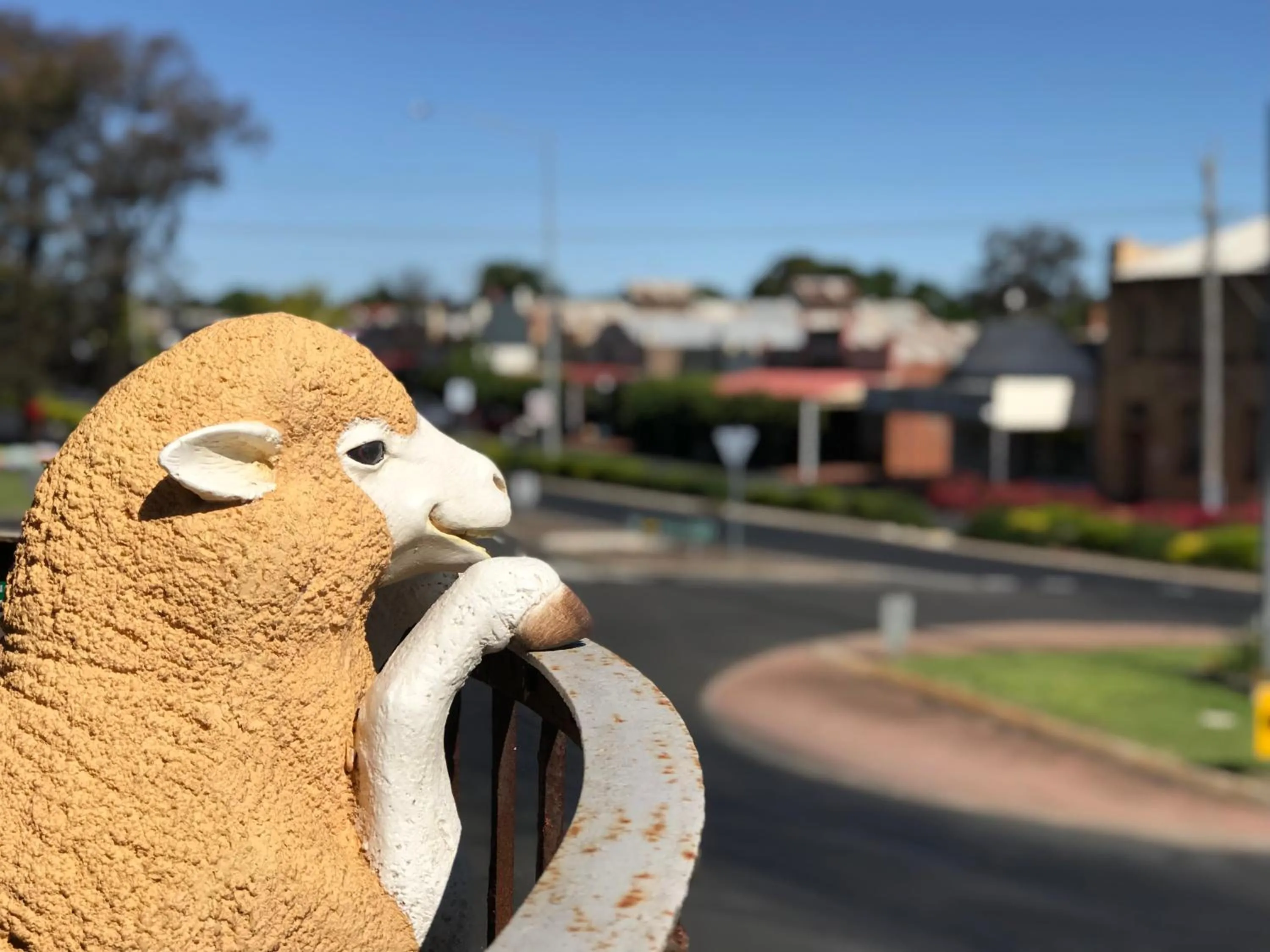 Balcony/Terrace in COMMERCIAL HOTEL KANIVA