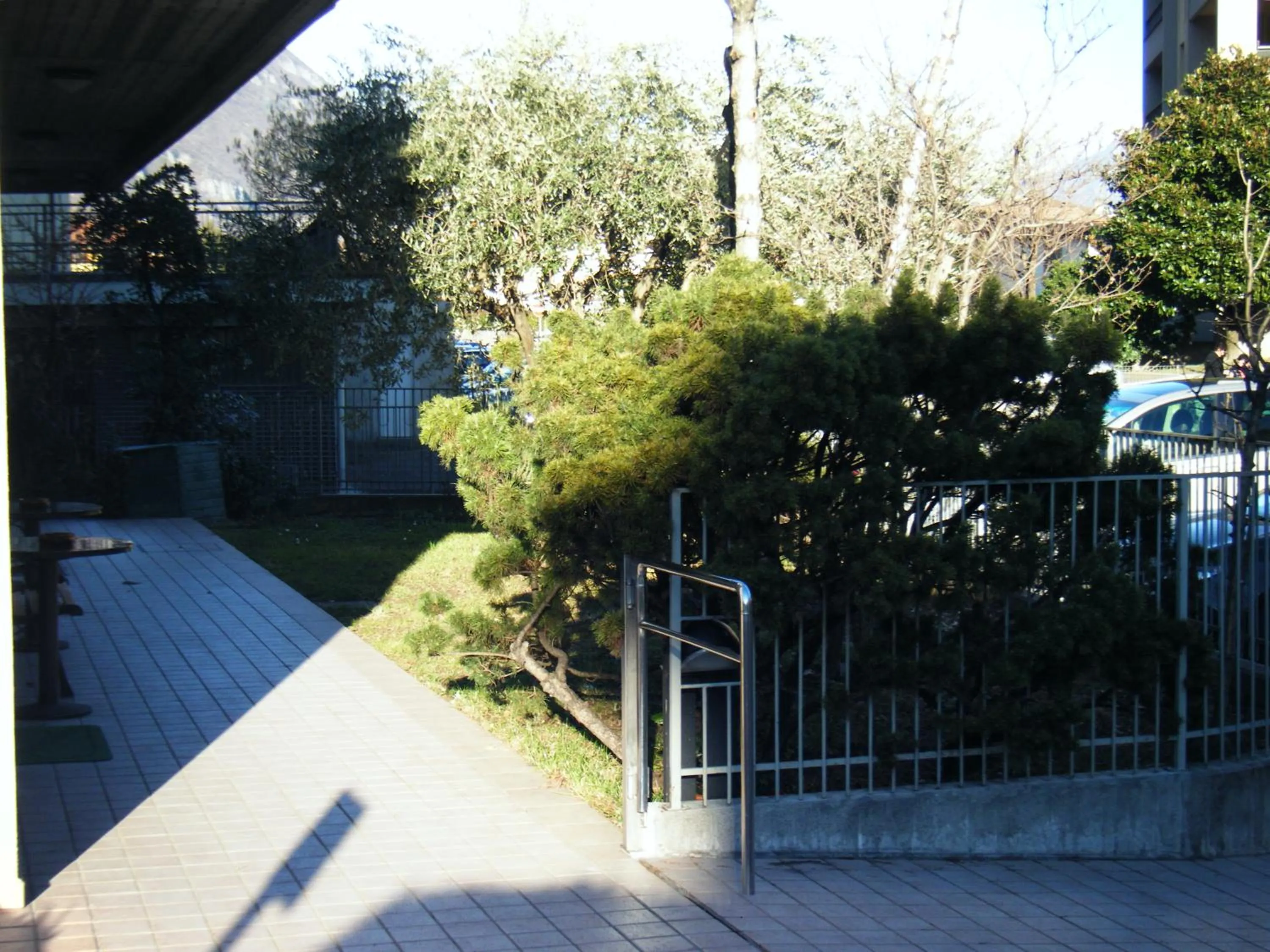 Garden in Residence Vezzoli