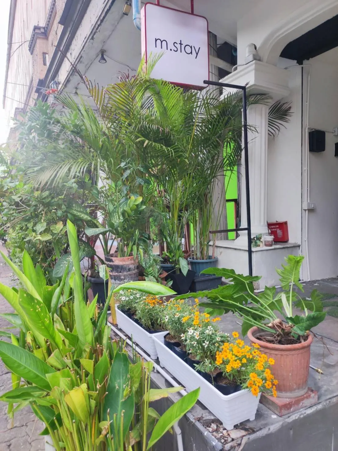 Property building in mstay