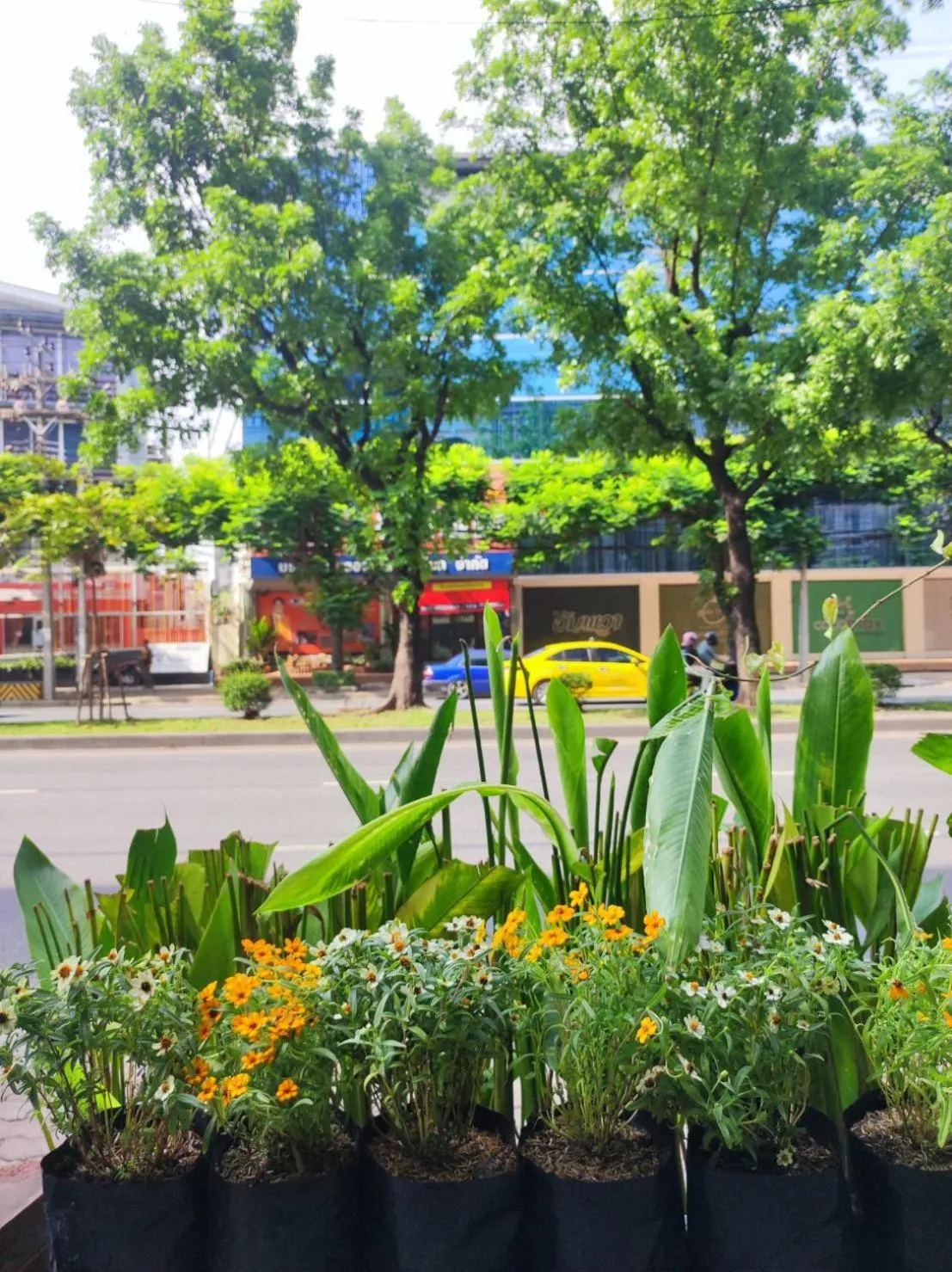 View (from property/room) in mstay