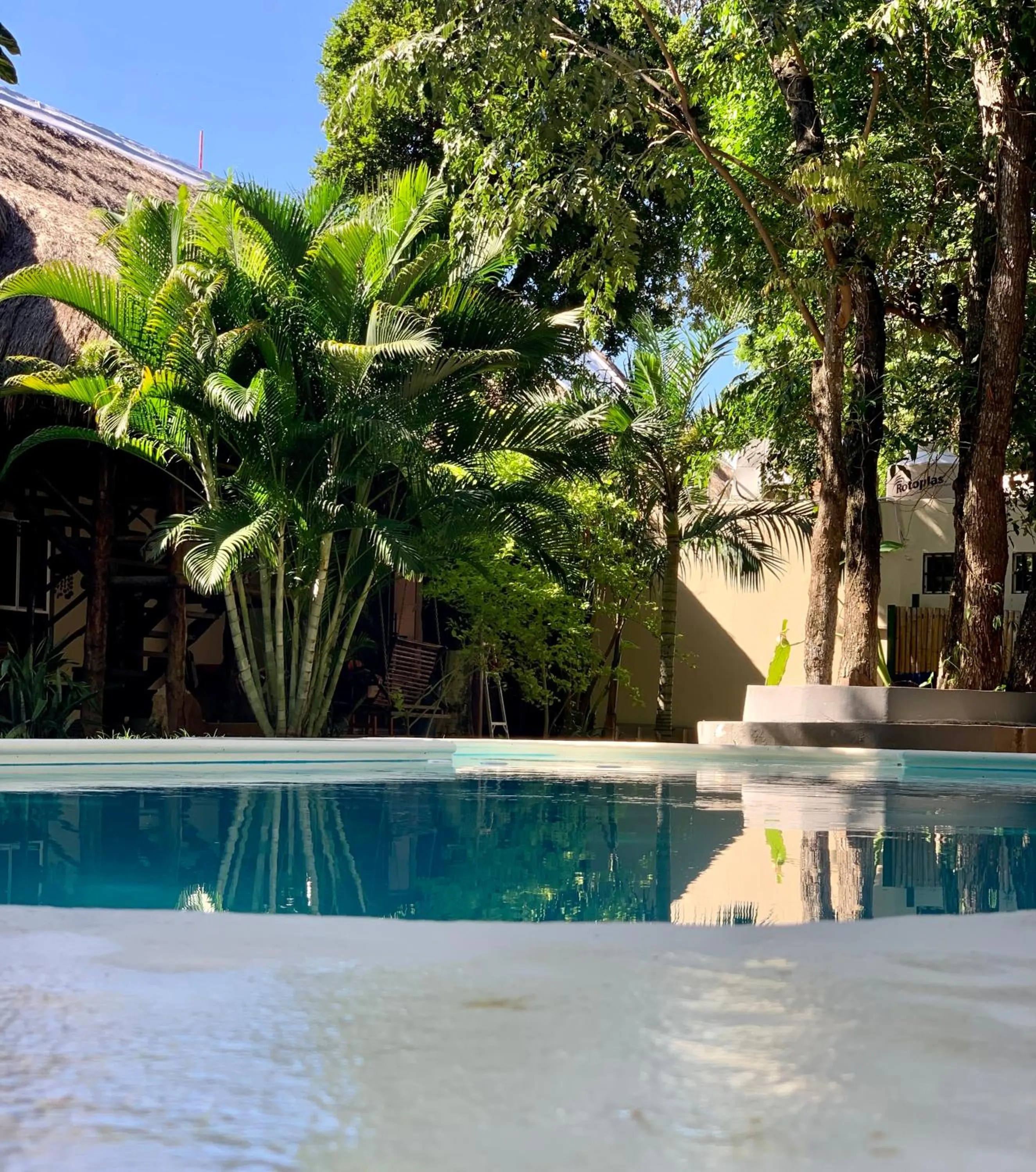 Pool view in Ammare Hotel Boutique
