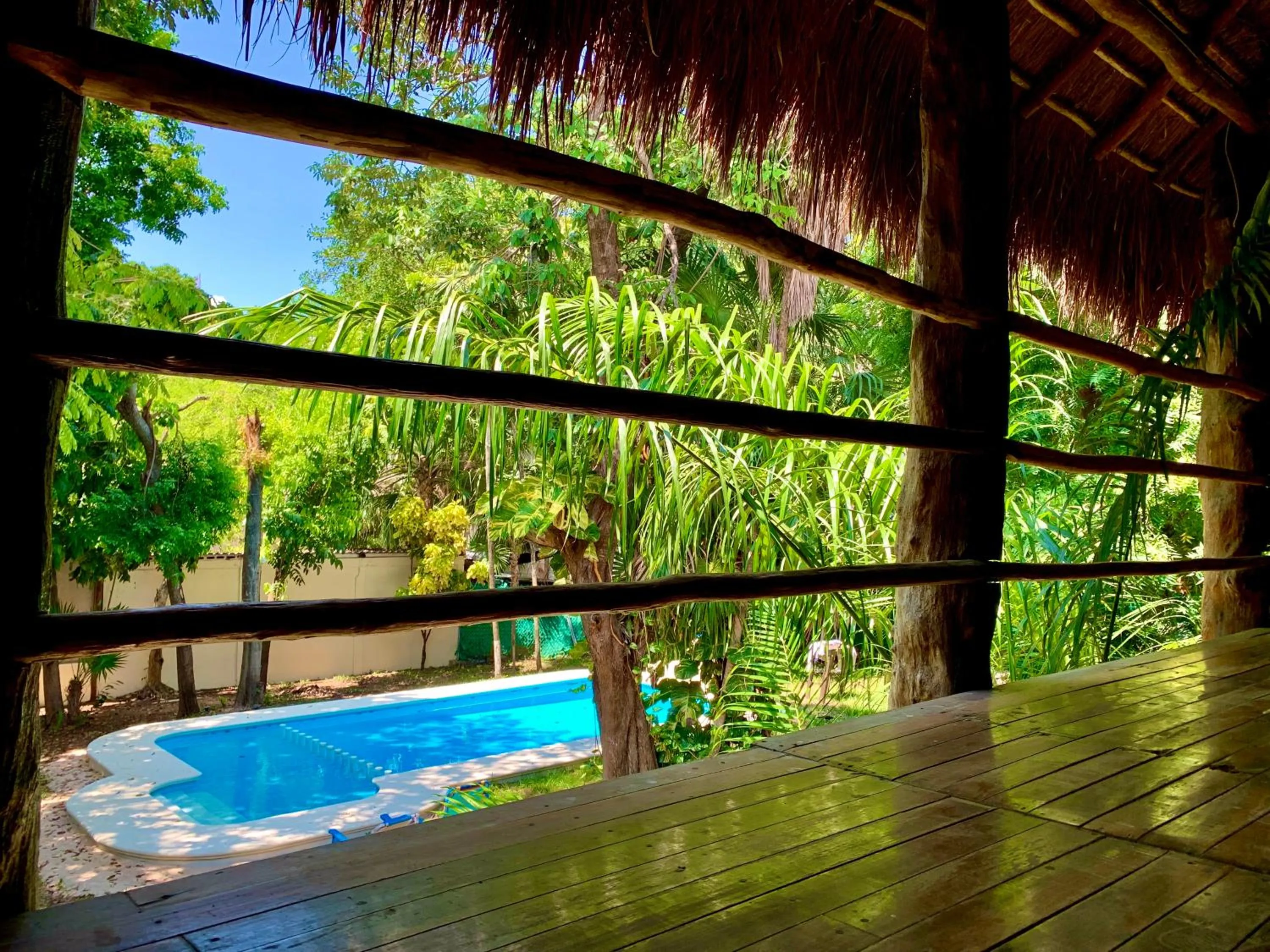 Pool view in Ammare Hotel Boutique