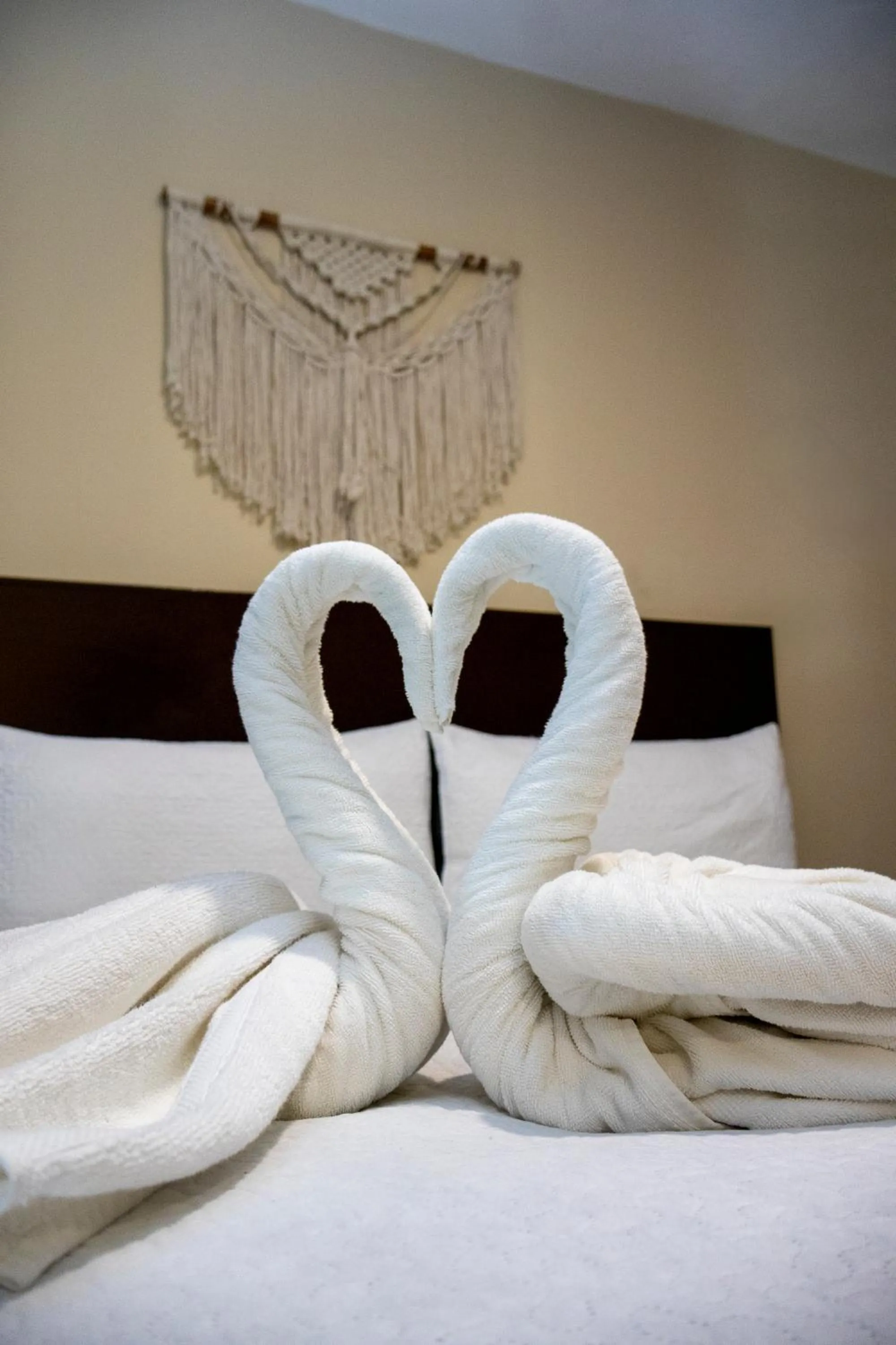 Bed in Ammare Hotel Boutique