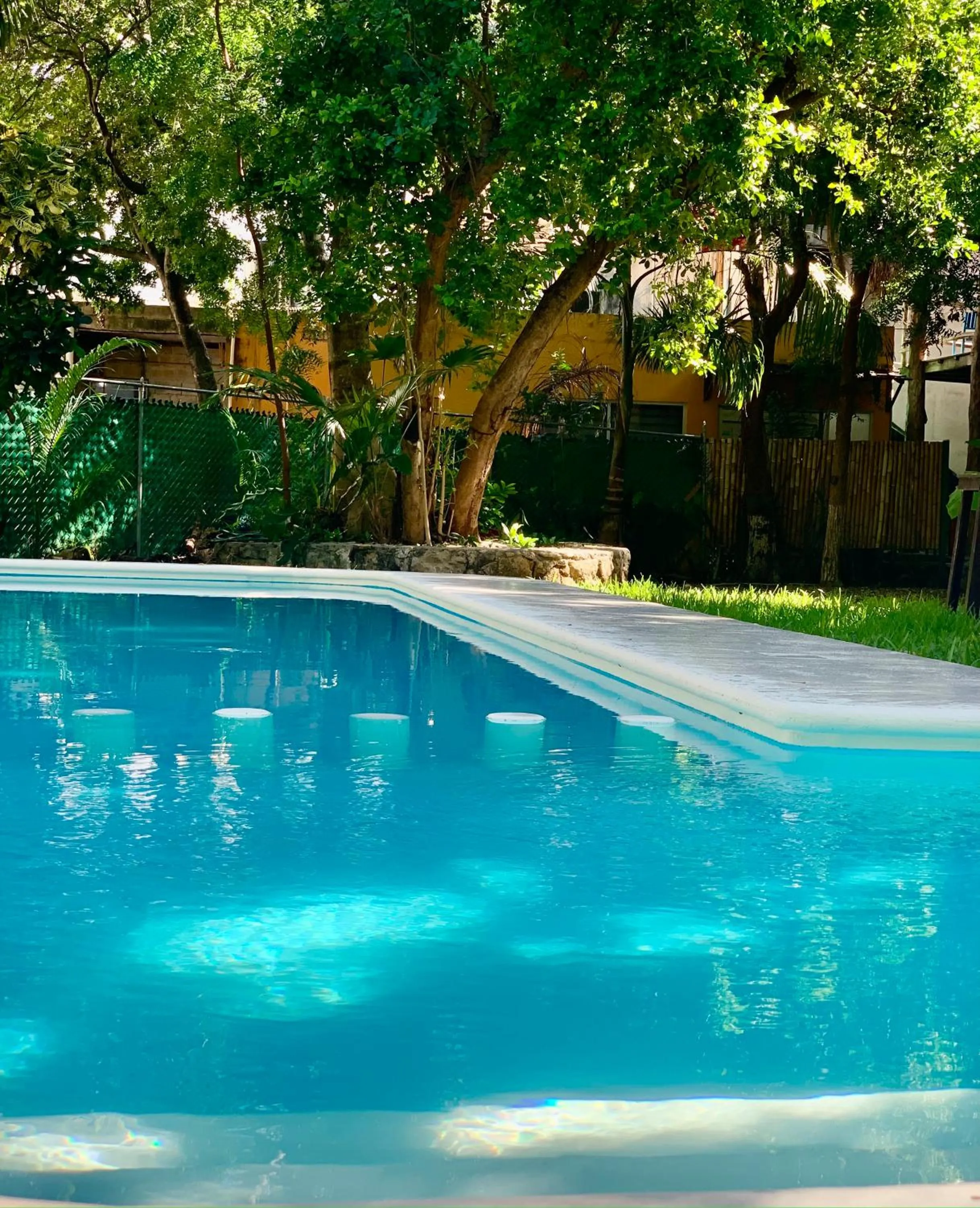 Pool view in Ammare Hotel Boutique