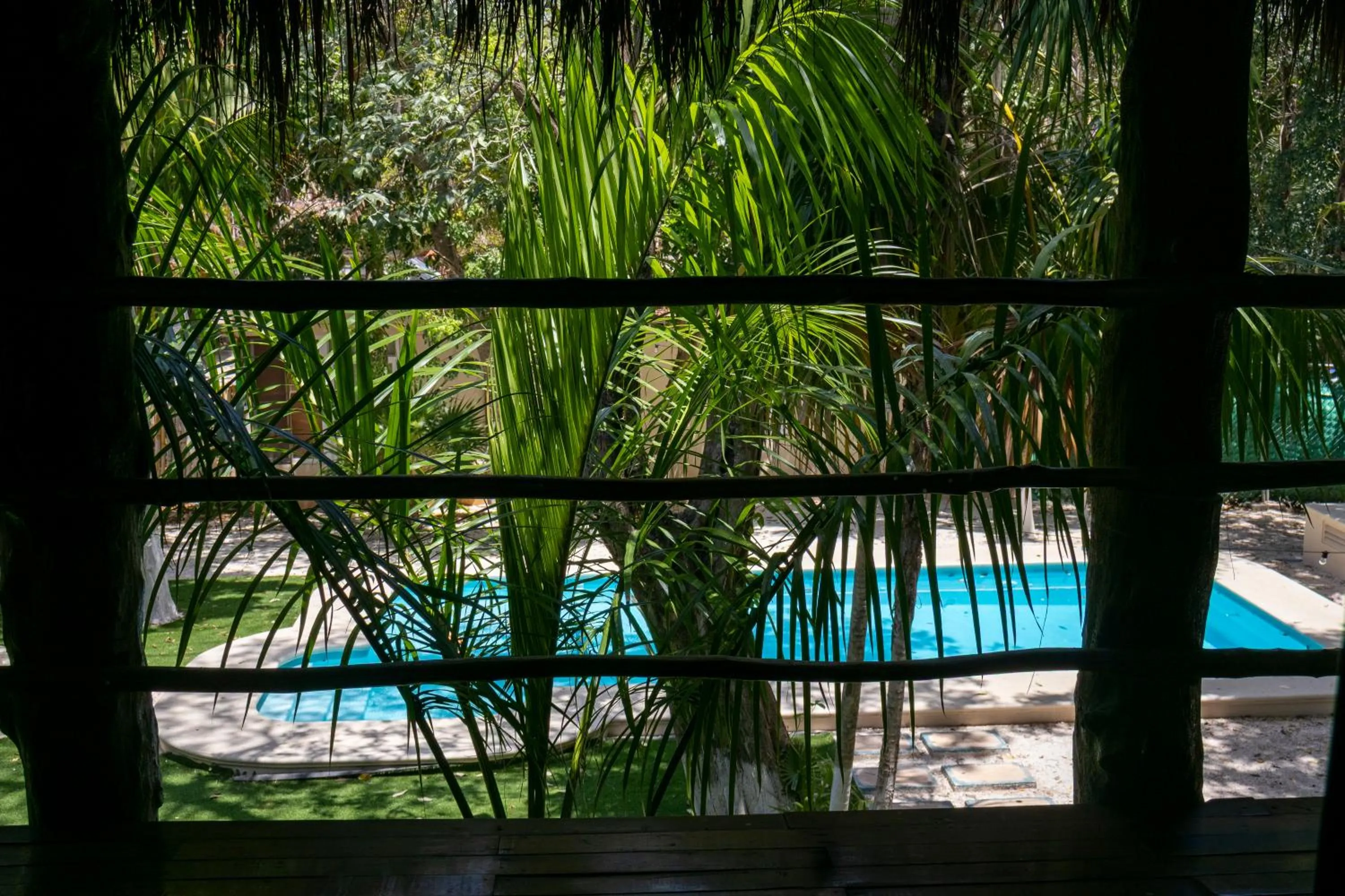 Garden view in Ammare Hotel Boutique