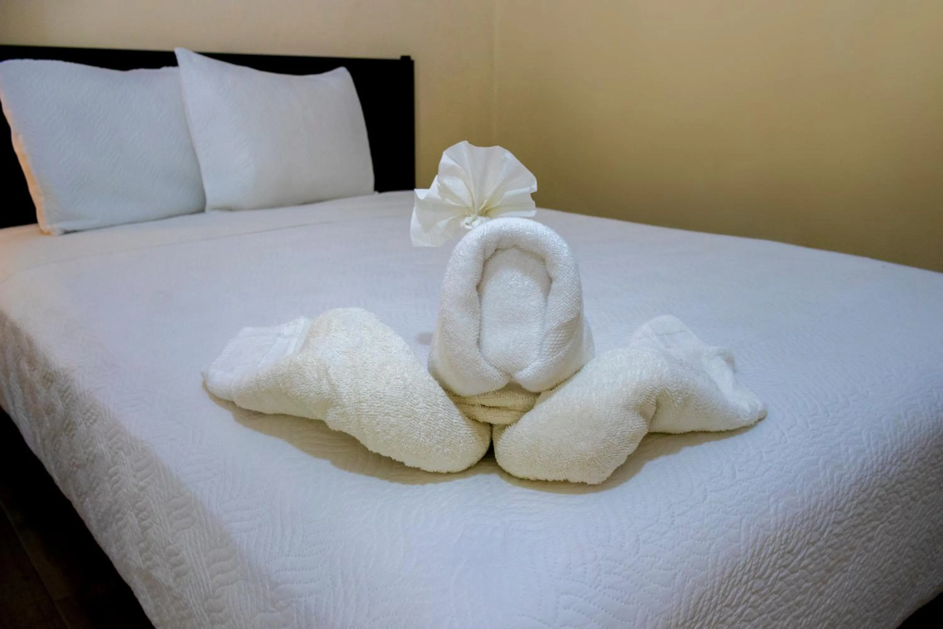 Bed in Ammare Hotel Boutique
