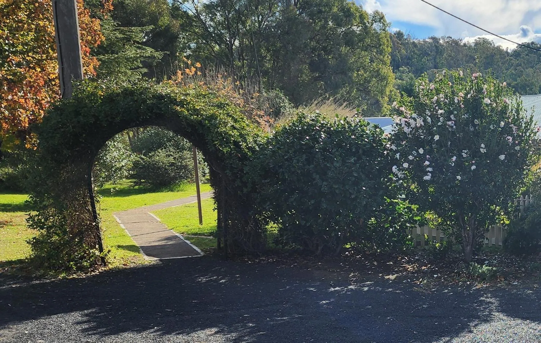 Garden in Warrumbungles Mountain Motel