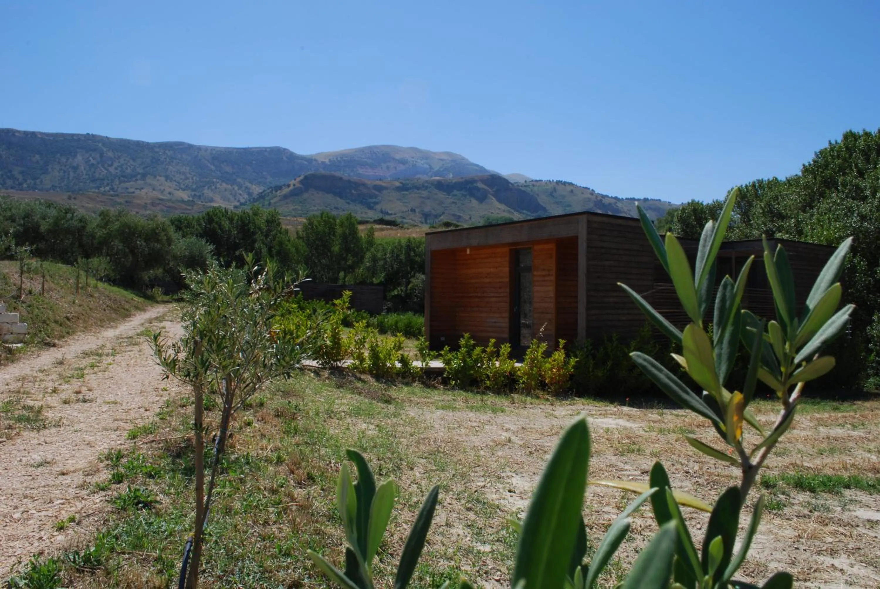 View (from property/room) in Il Bevaio Di Corleone