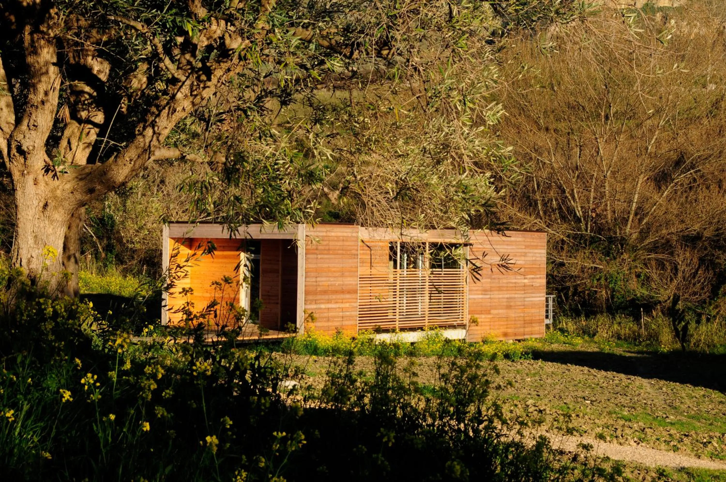 Other in Il Bevaio Di Corleone