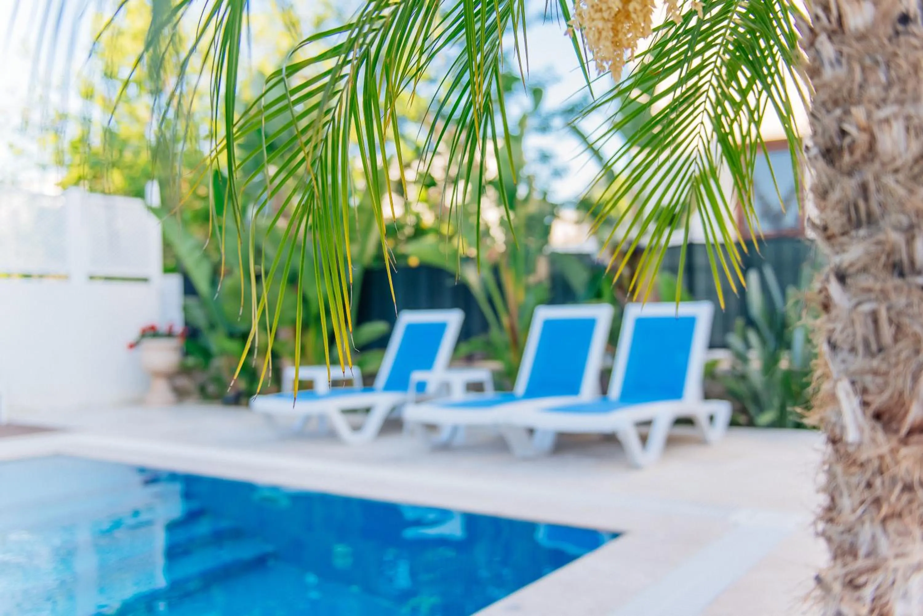 Garden in Via Farilya Hotel