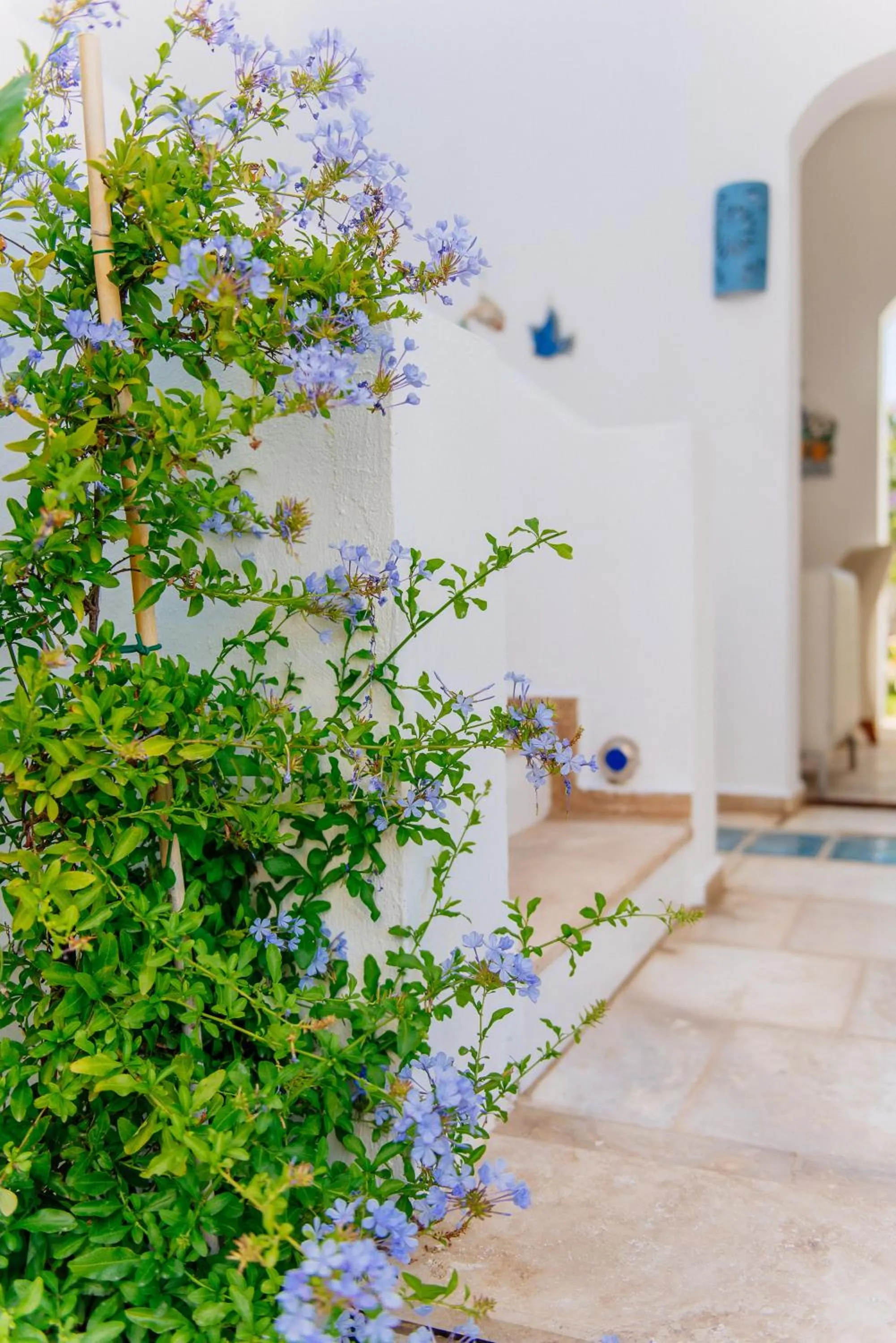 Day in Via Farilya Hotel