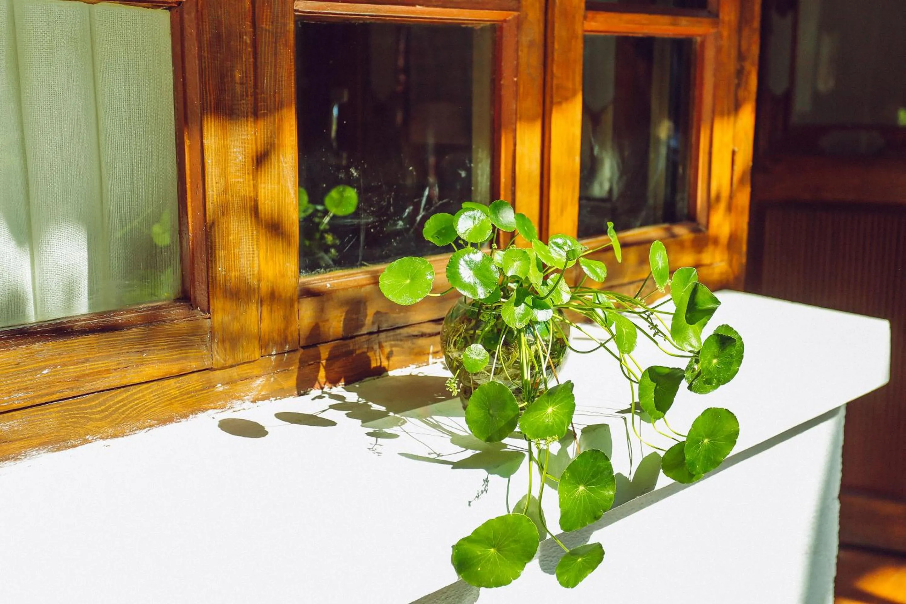 Other in Cabin 7 Inn