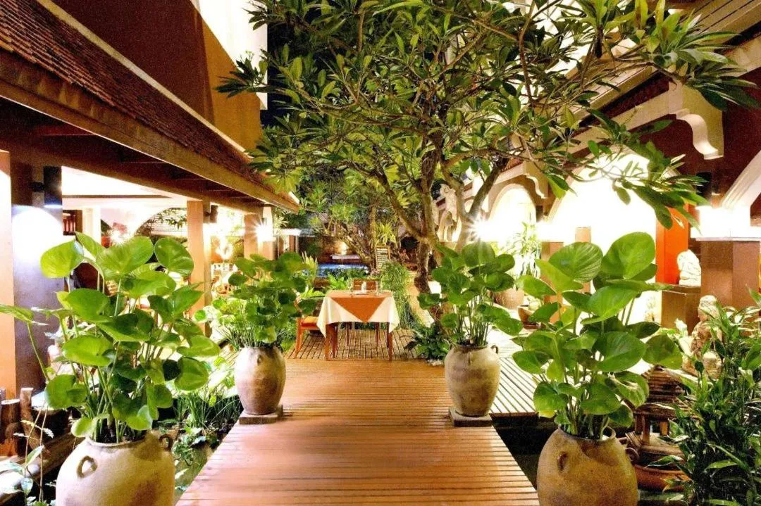 Garden in THE TOP PATONG RESORT.