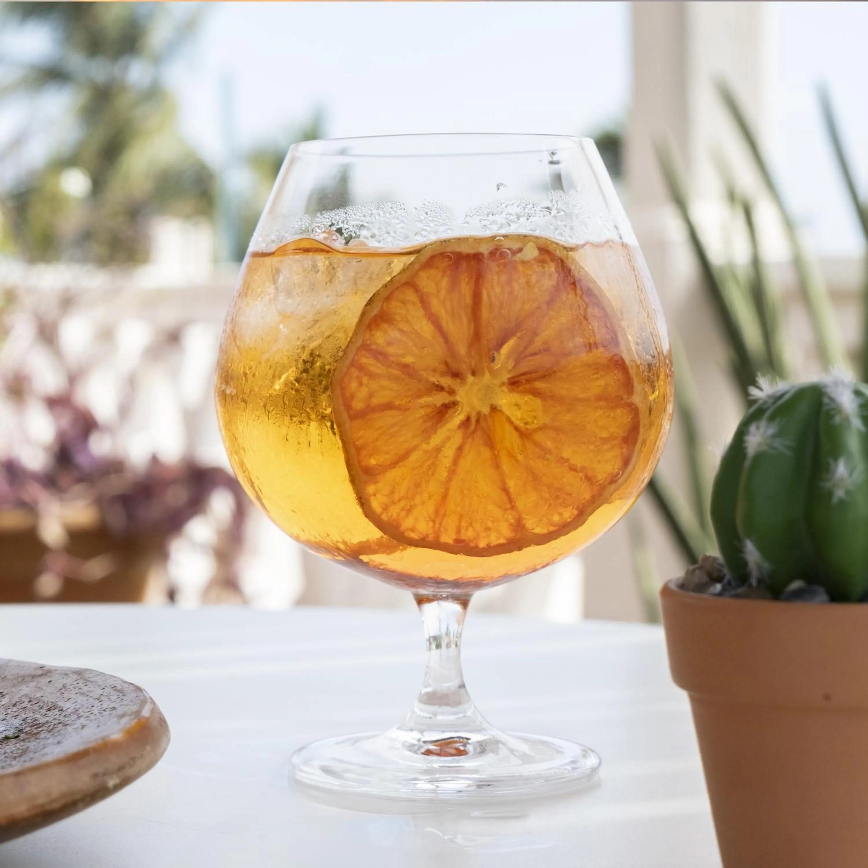 Lounge or bar in Hotel Flor de Maria