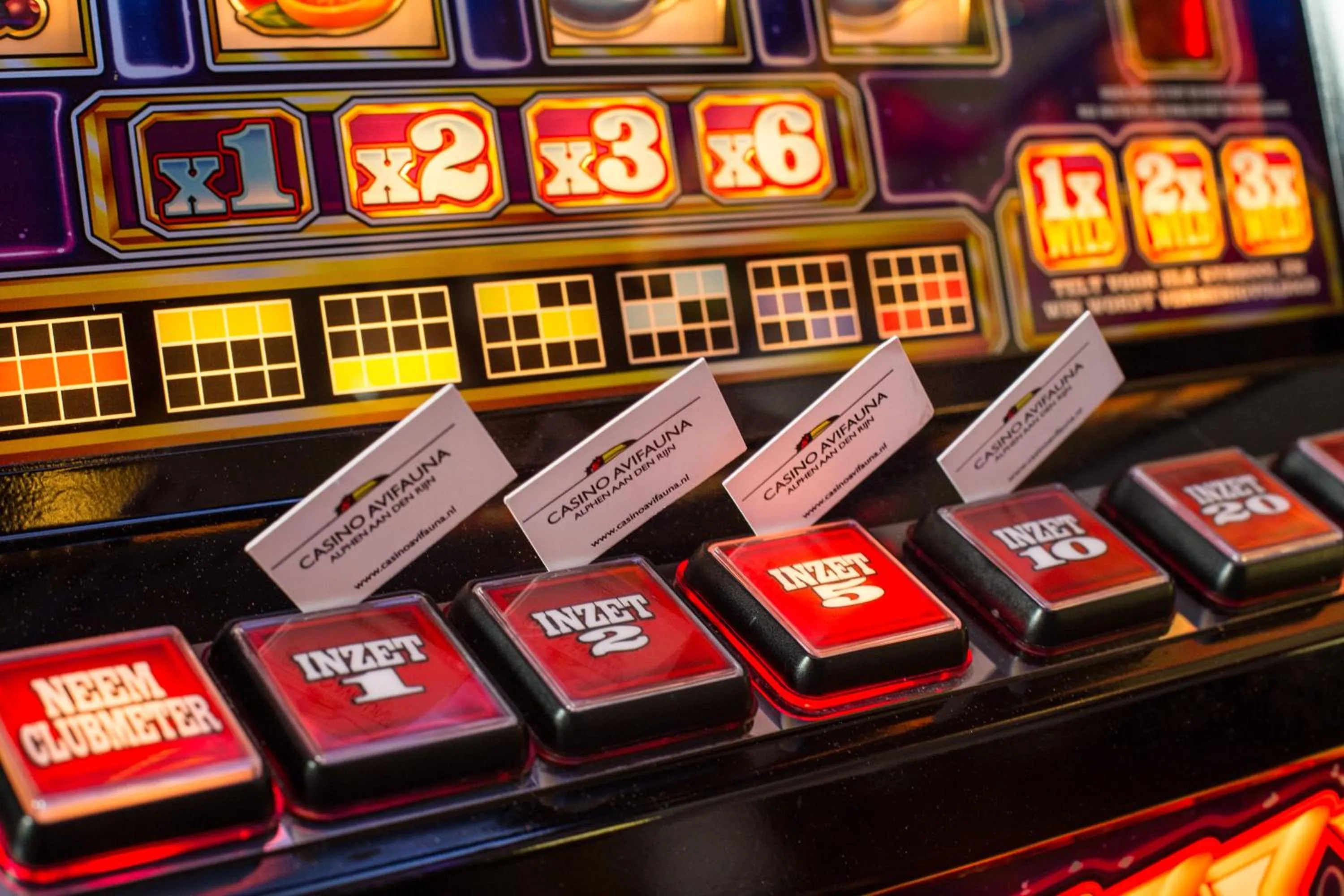 Van der Valk Hotel Avifauna