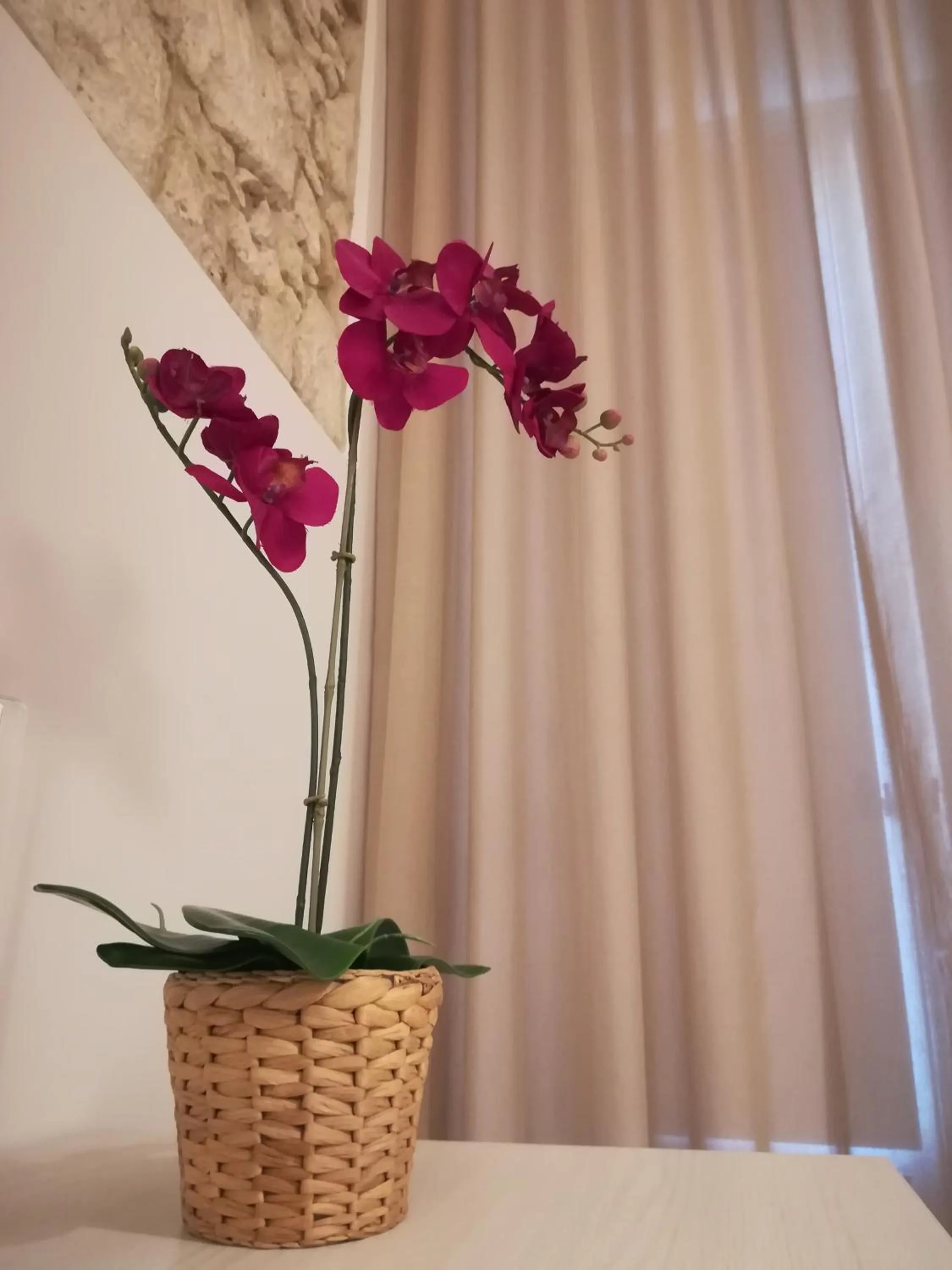 Decorative detail in I Santi Coronati