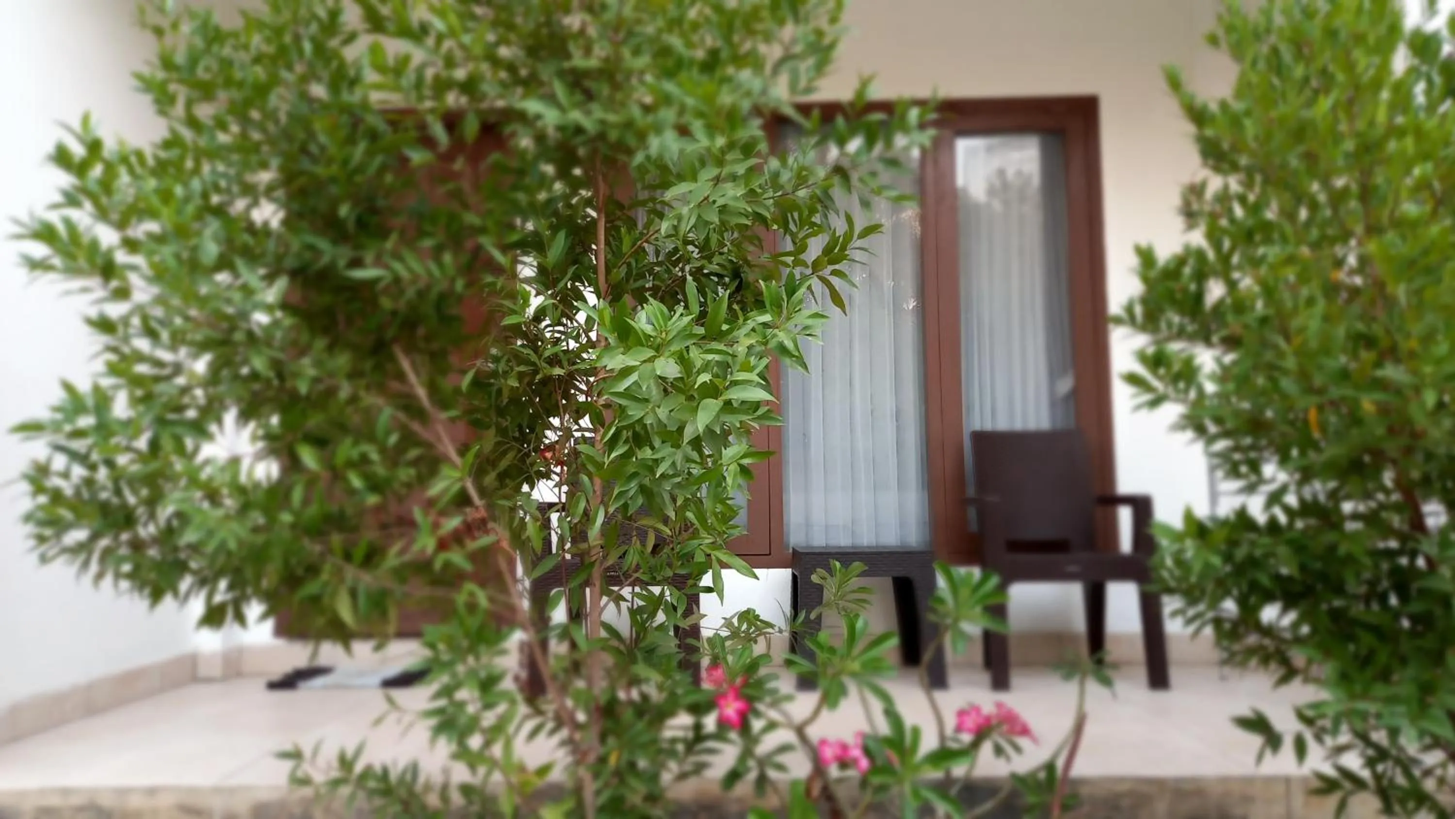 Garden in Sisilia Hotel