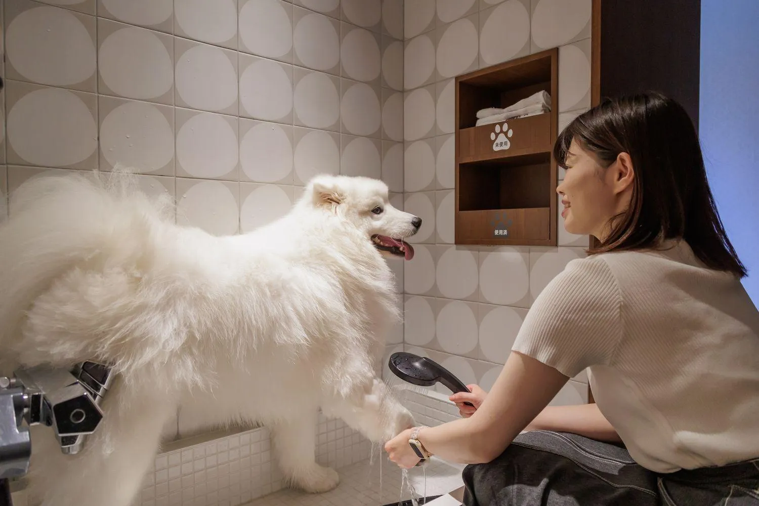 Area and facilities in Kamenoi Hotel Tsukubasan