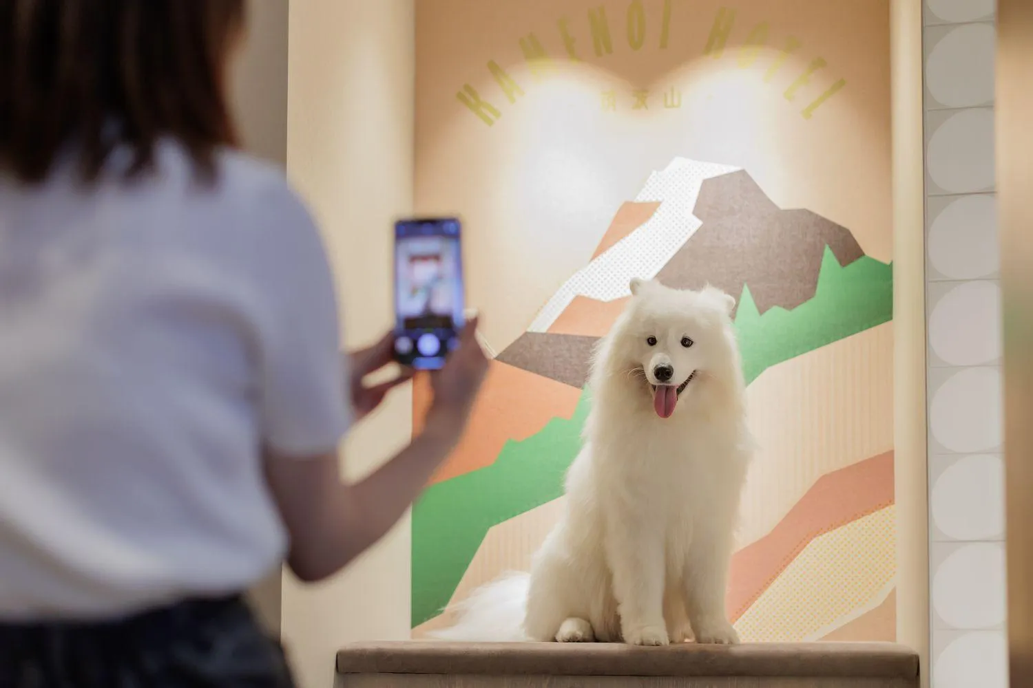 Area and facilities in Kamenoi Hotel Tsukubasan