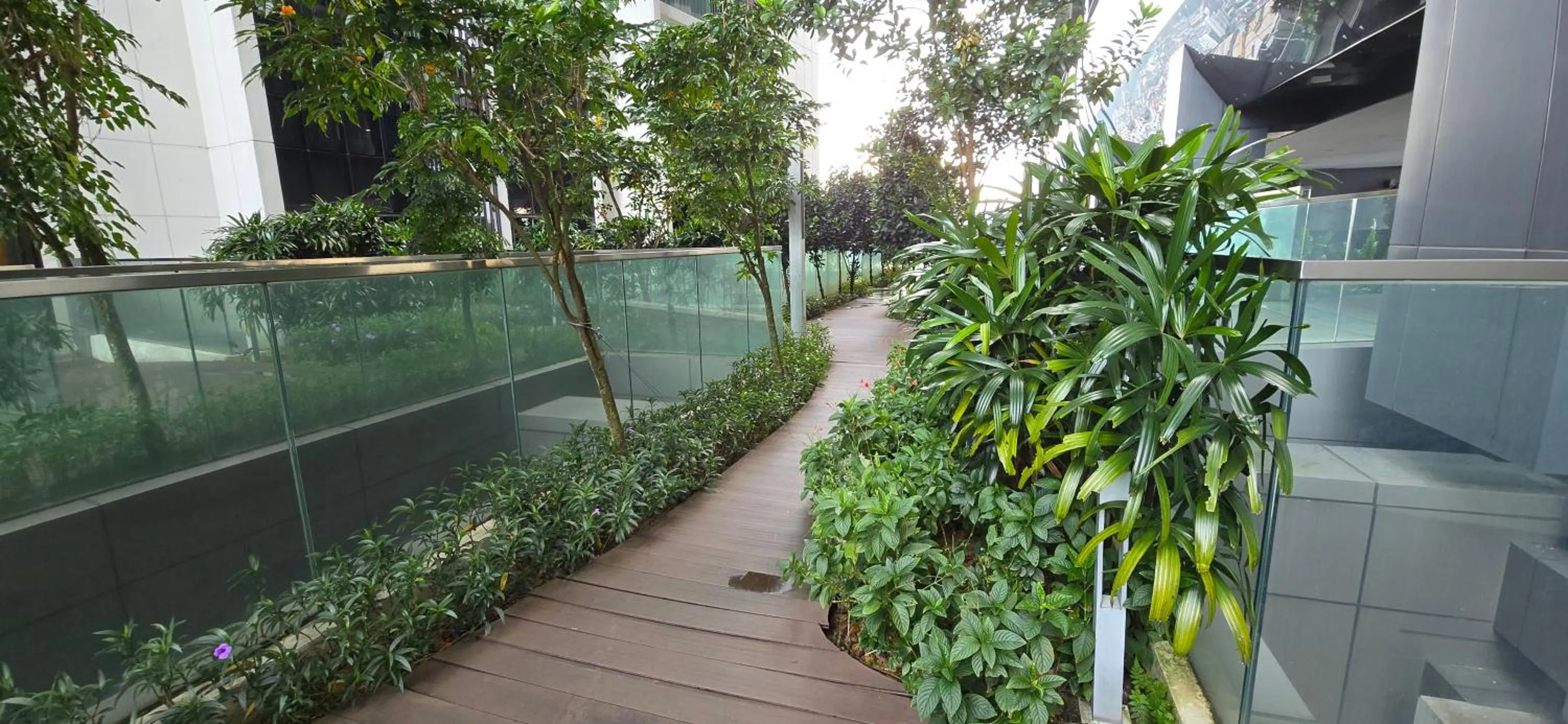 Spring in M City Ampang KL city