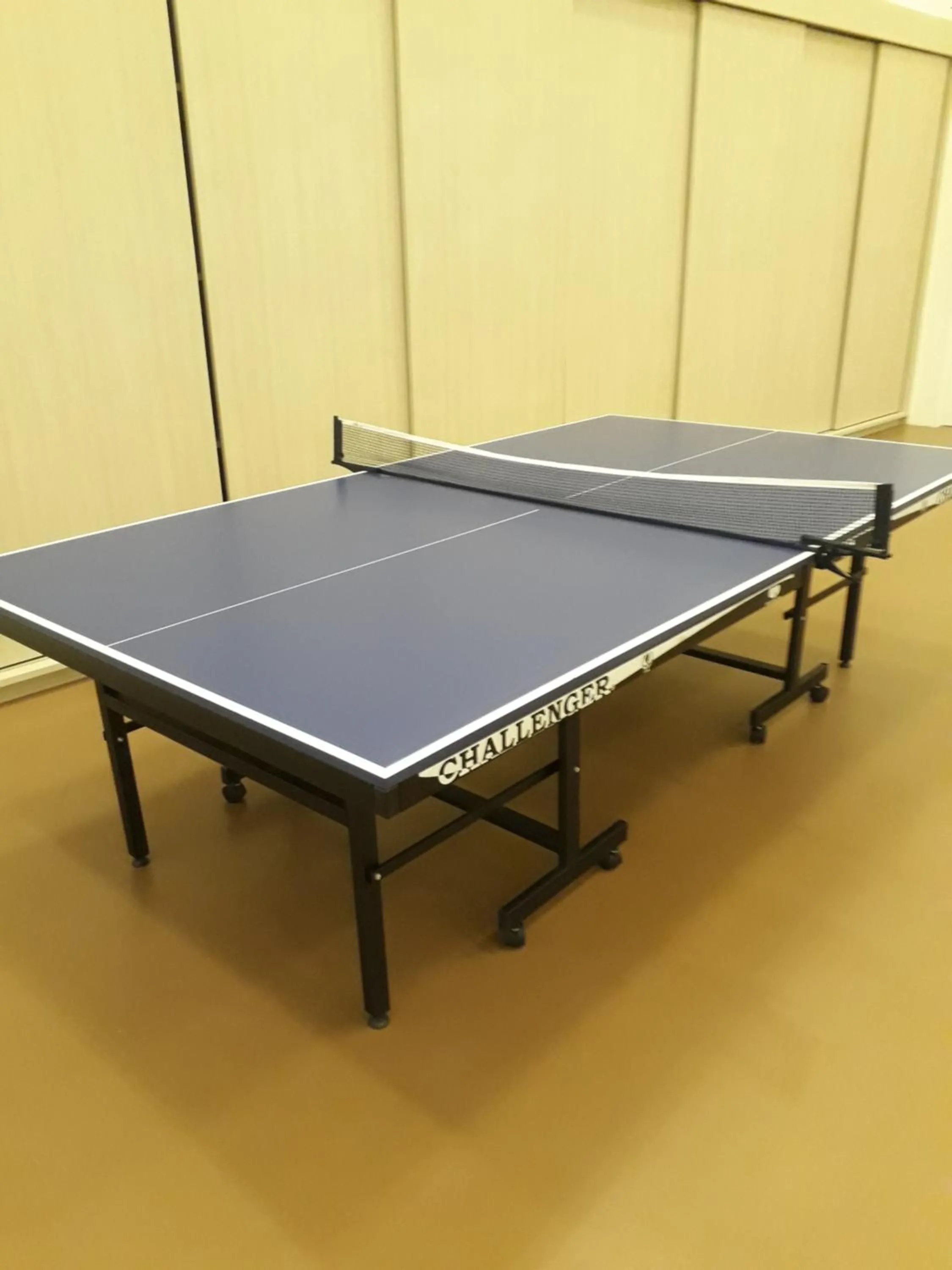 Table tennis in M City Ampang KL city