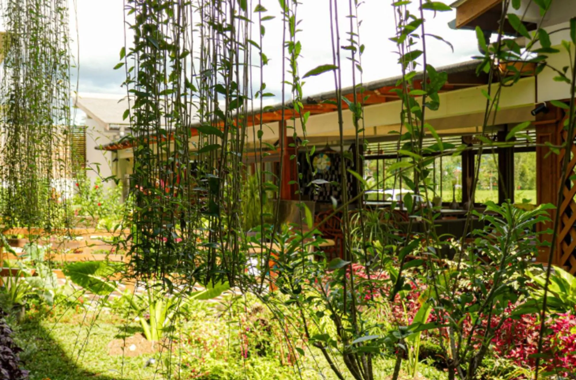 Natural landscape in Santai Toraja