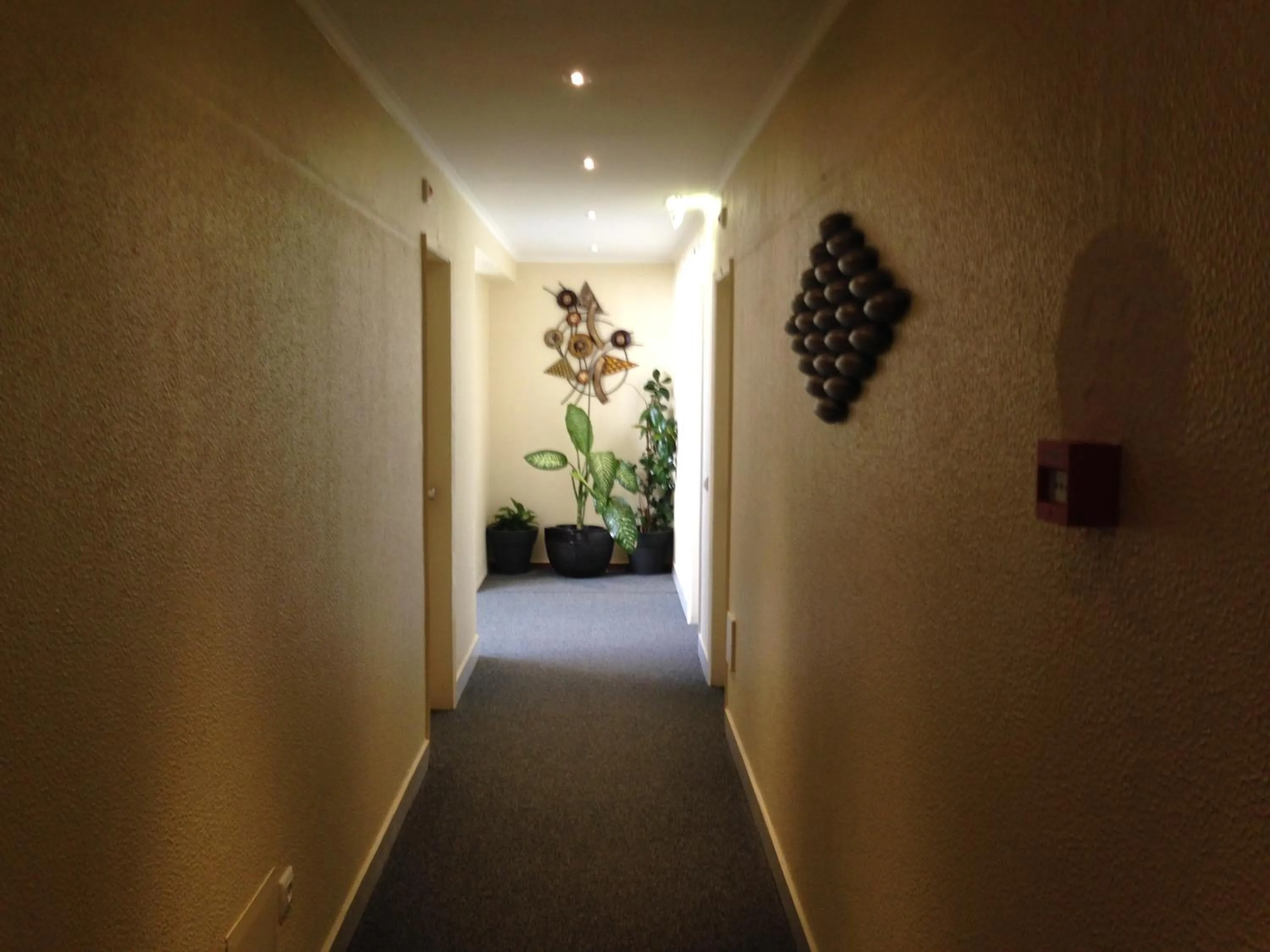 Other in Hotel Paiva