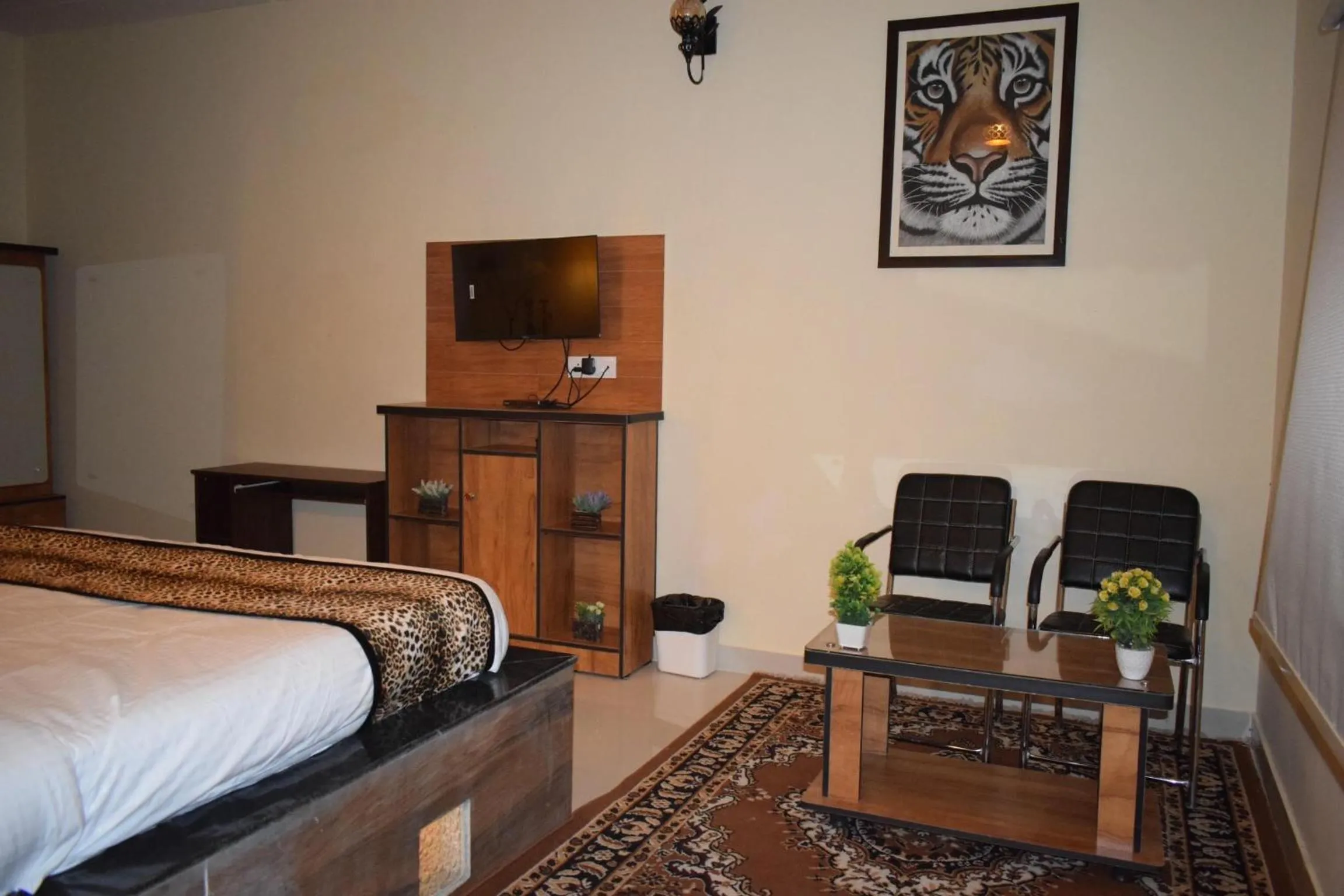 TV and multimedia in Rann Meadows Ranthambhore