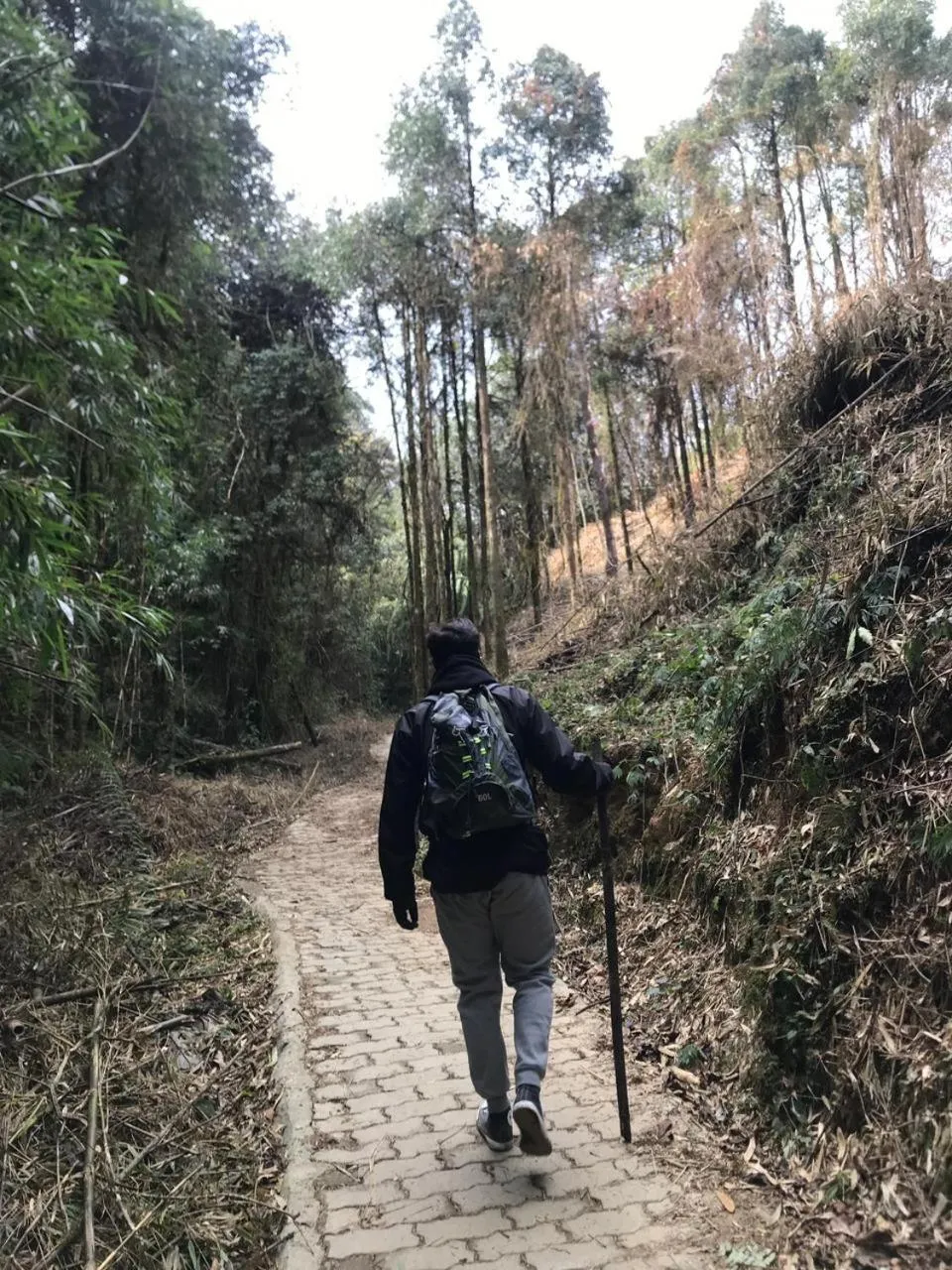 Activities in Taj Guras Kutir Resort & Spa, Gangtok