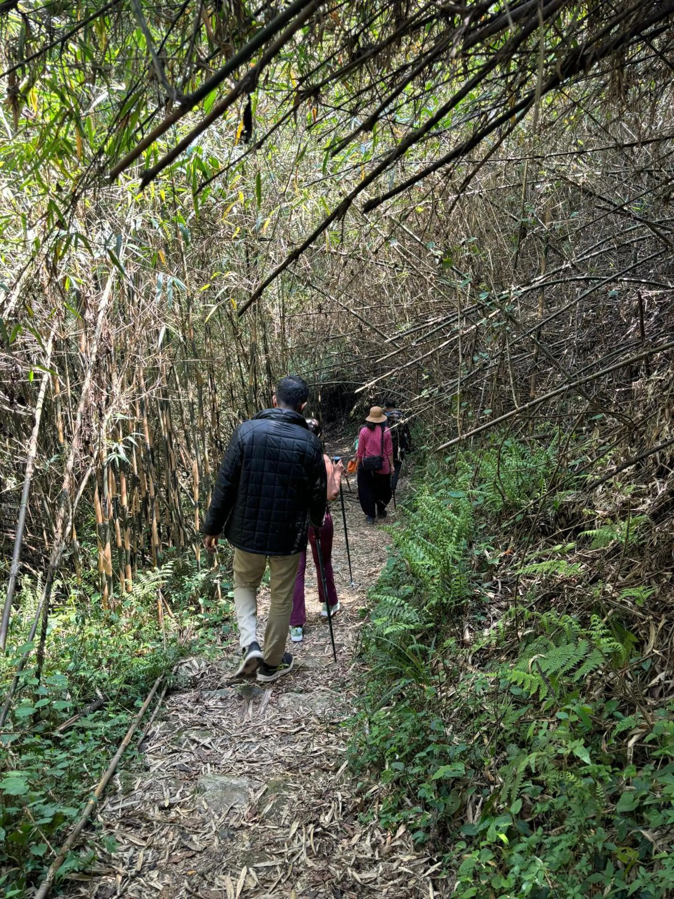 Activities in Taj Guras Kutir Resort & Spa, Gangtok