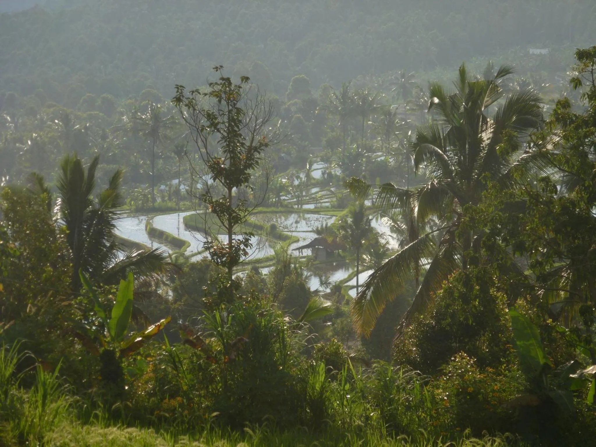 Natural landscape in Lesong Hotel and Restaurant