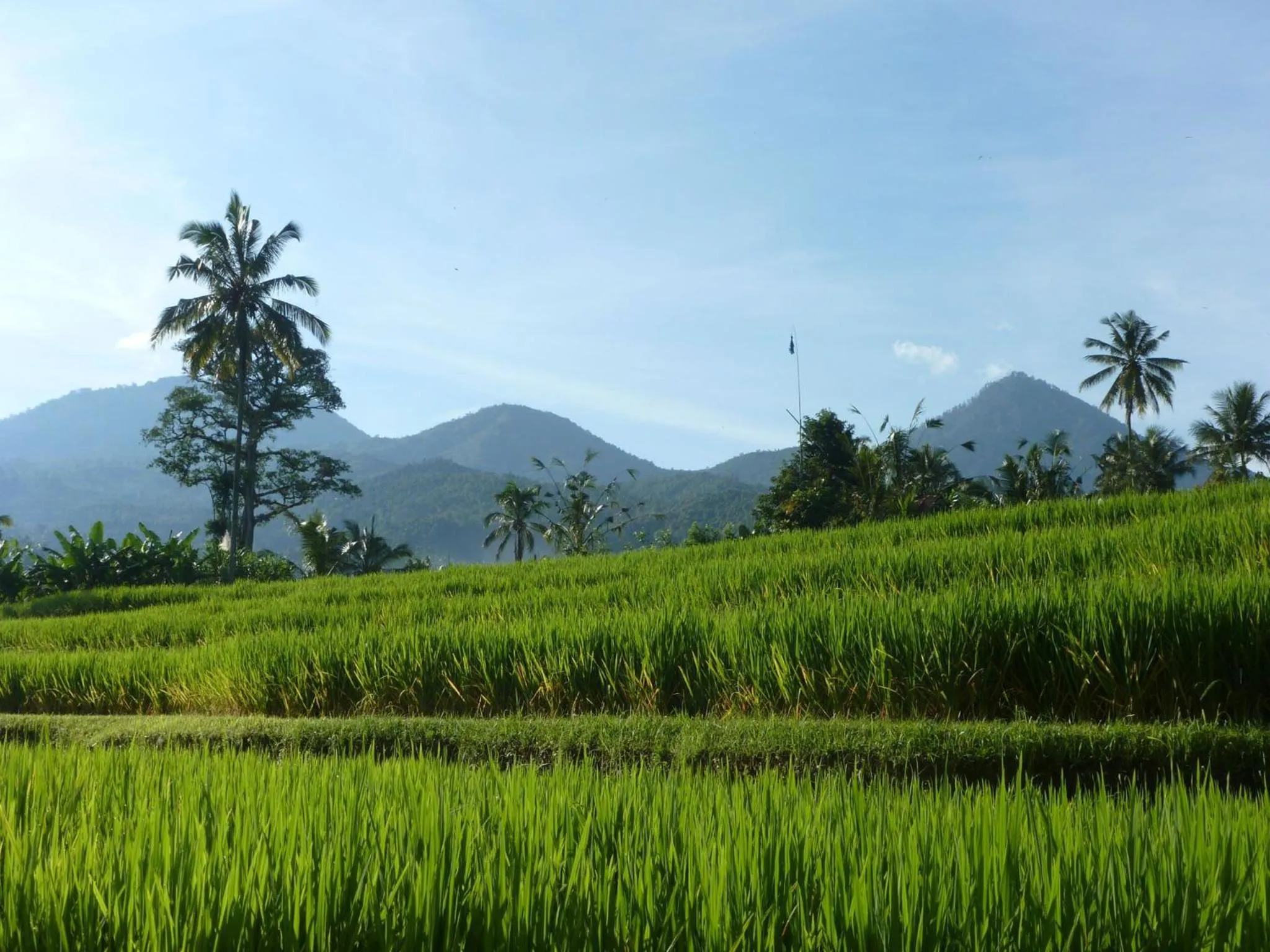 Day in Lesong Hotel and Restaurant