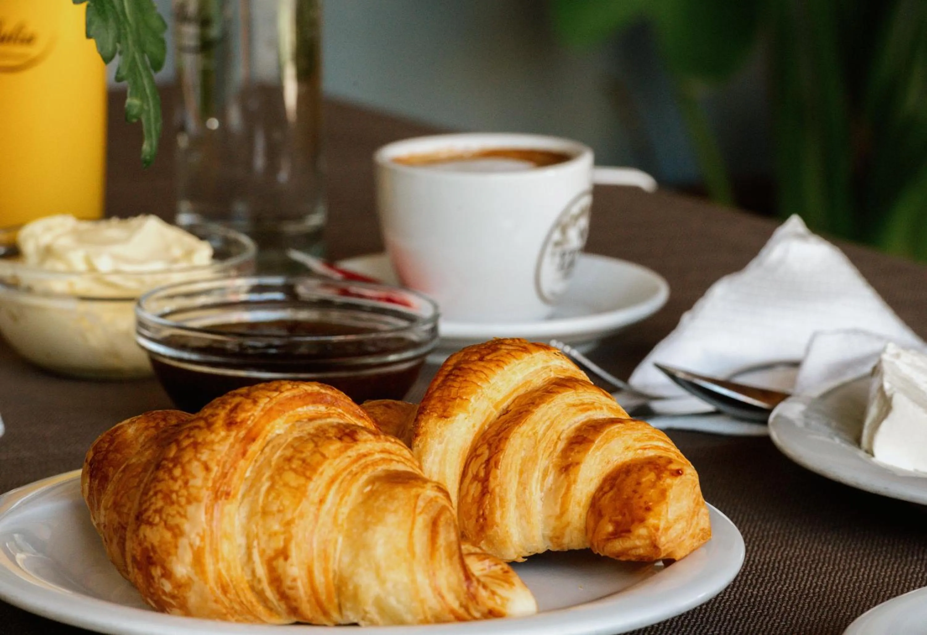 Breakfast in Hotel Floga