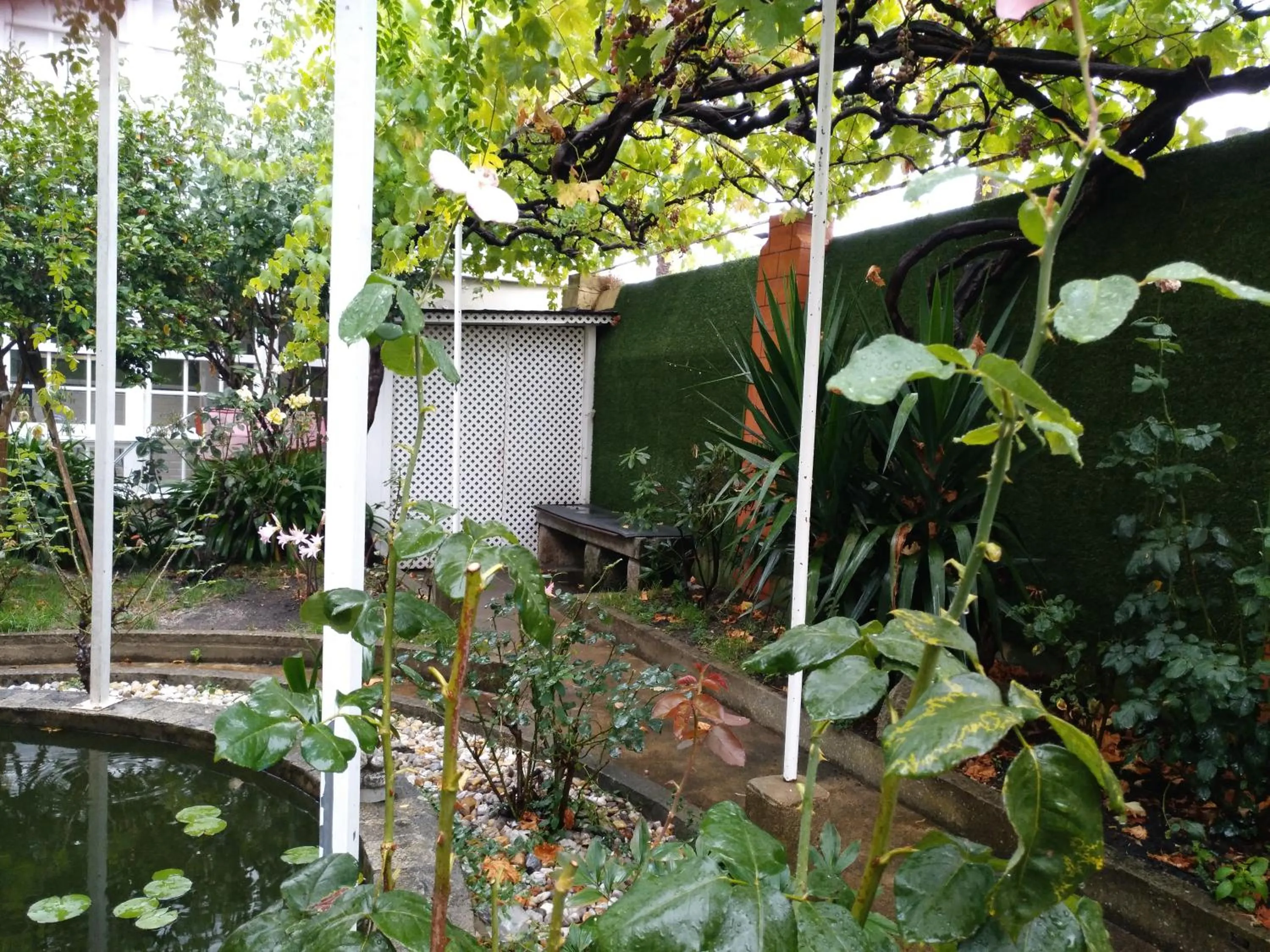 Property building in Pension-Albergue Don Alvaro