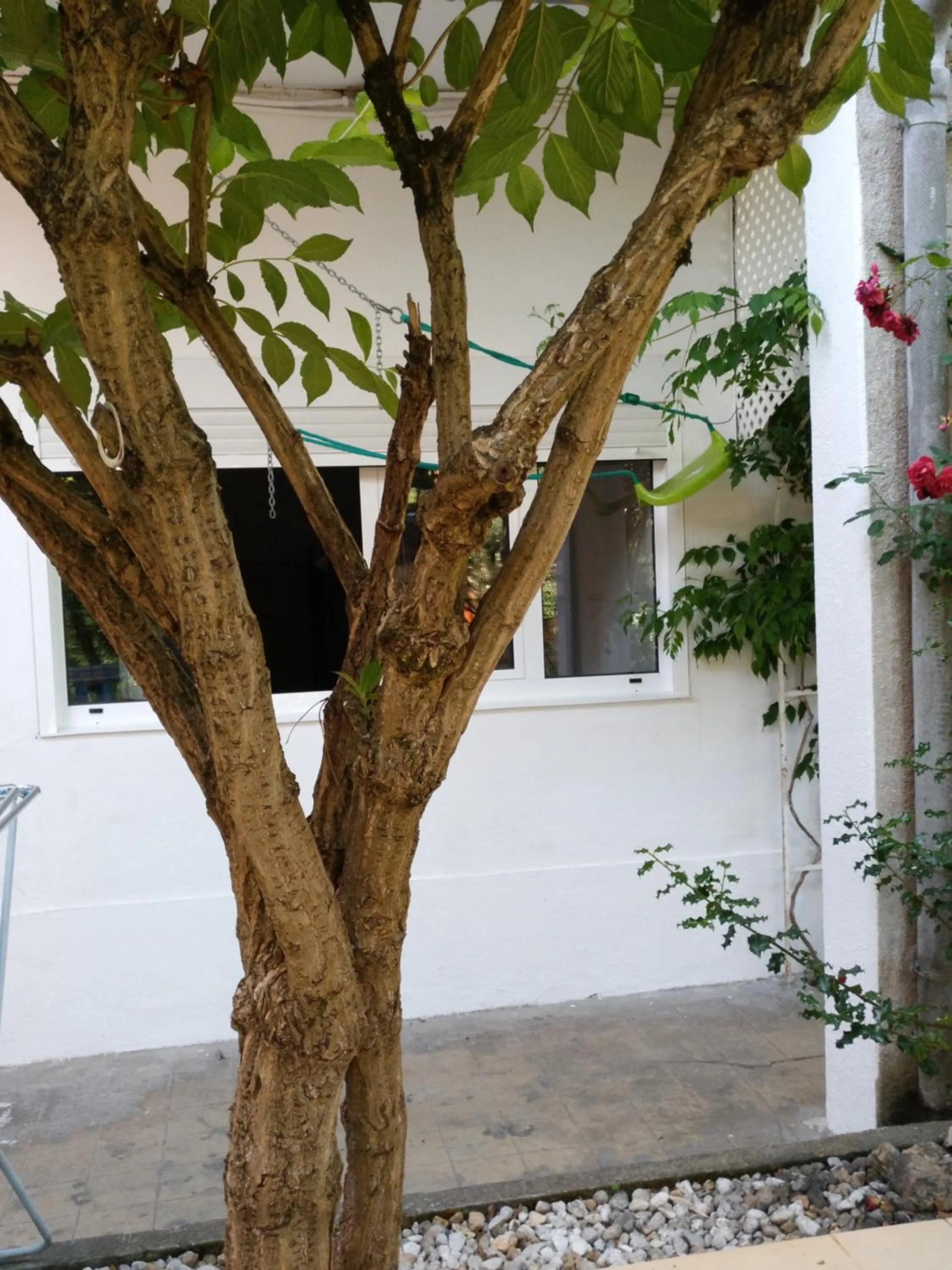 Garden in Pension-Albergue Don Alvaro