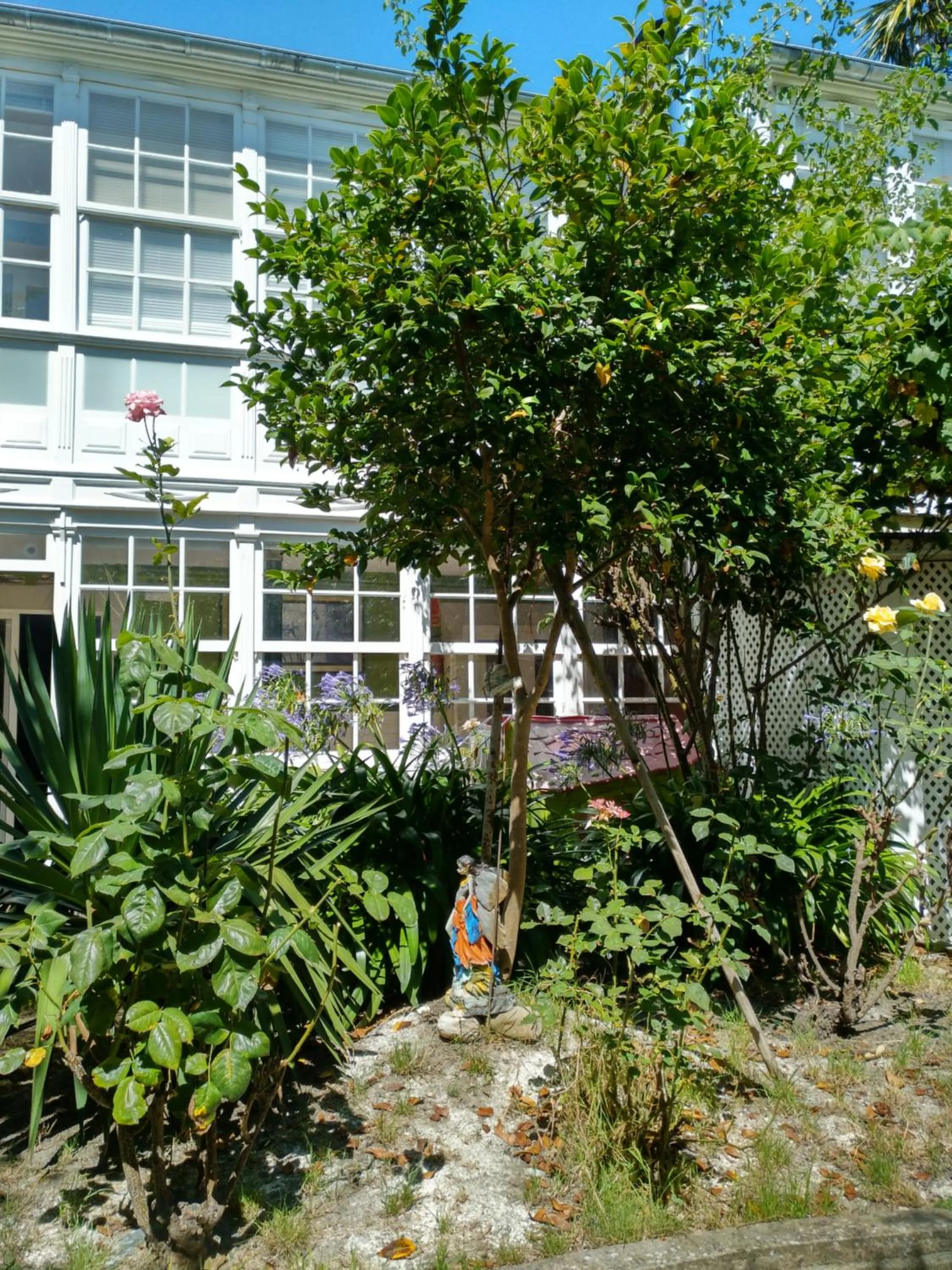 Property building in Pension-Albergue Don Alvaro