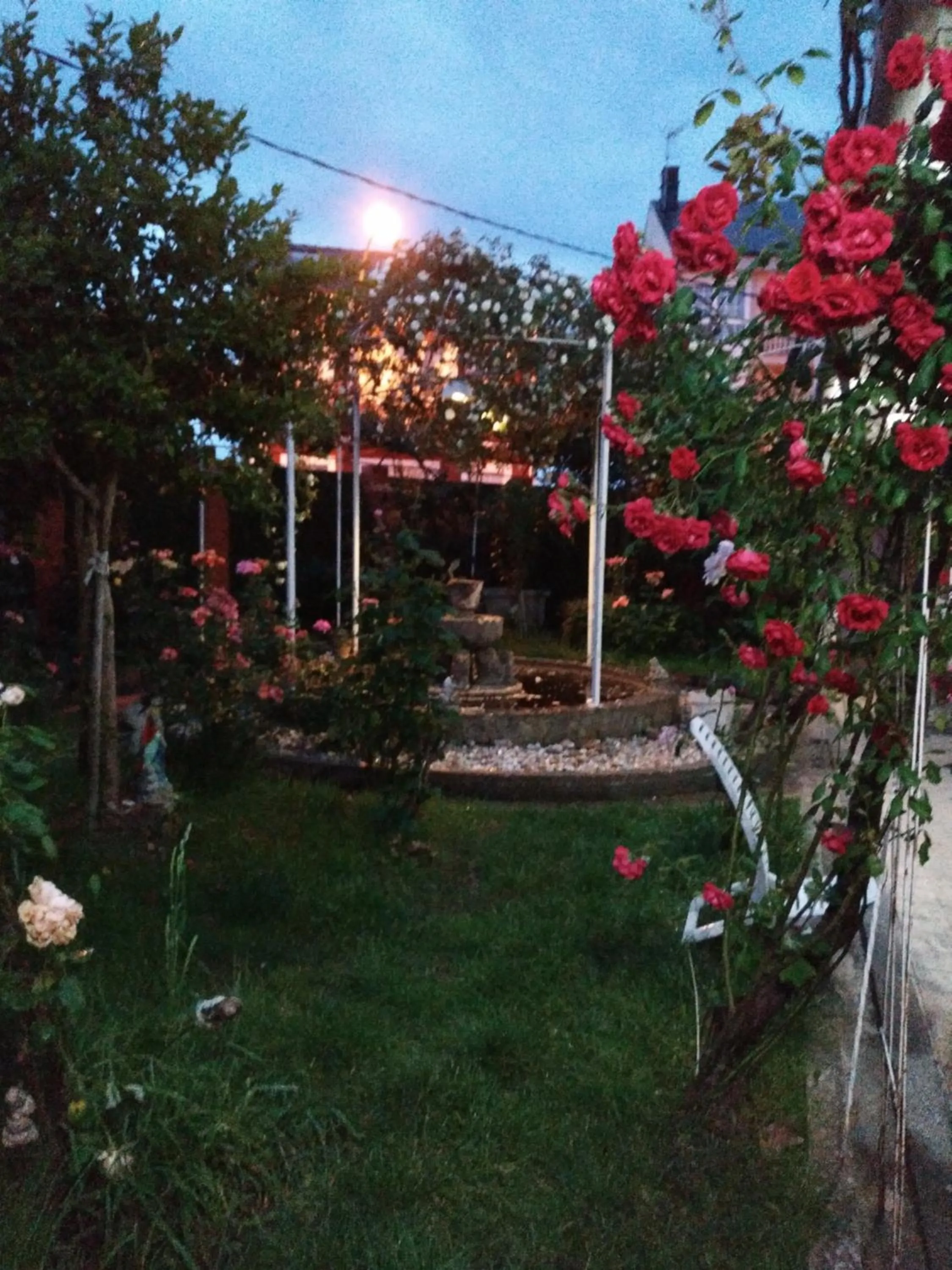 Garden in Pension-Albergue Don Alvaro