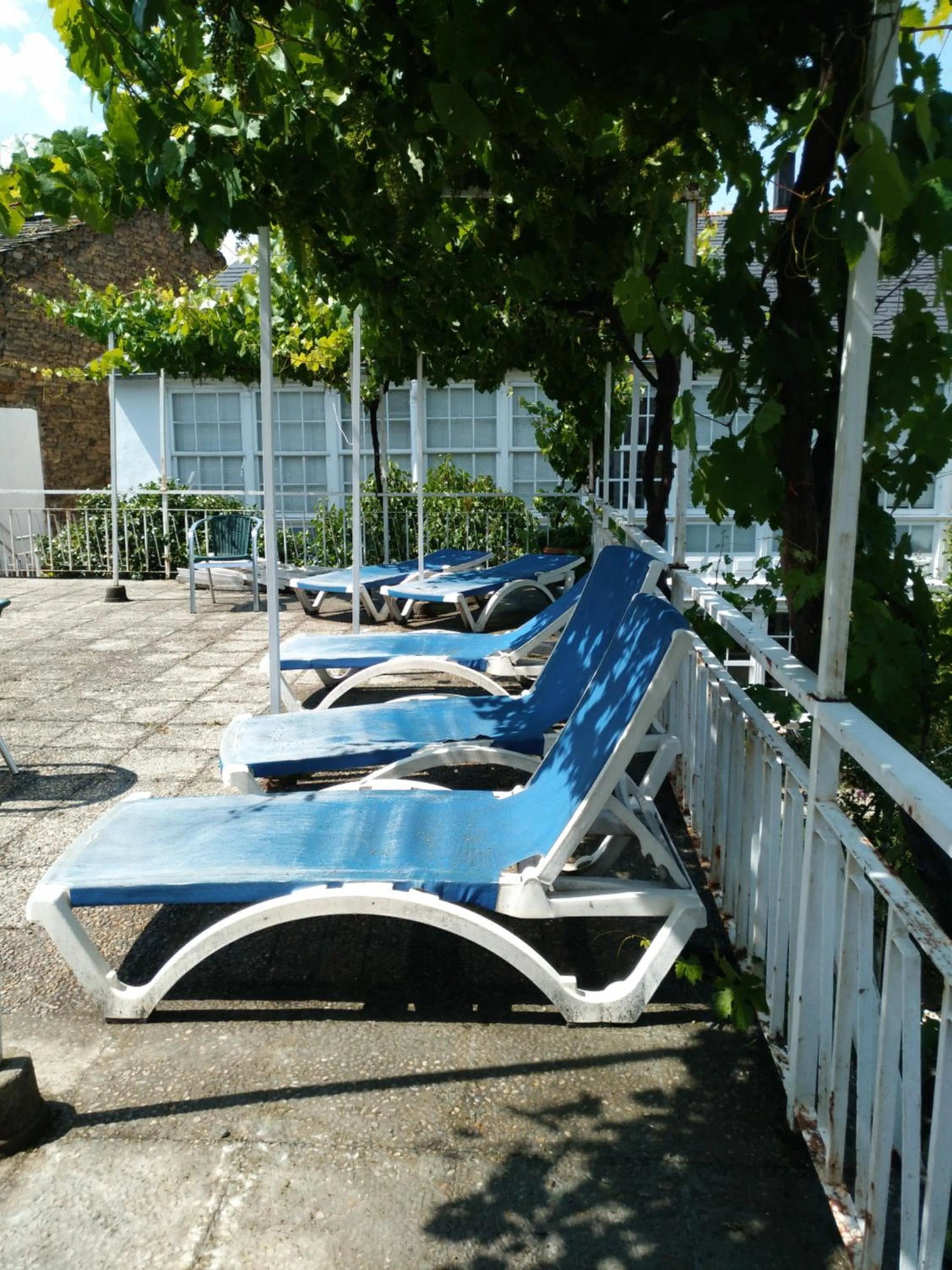 Garden in Pension-Albergue Don Alvaro