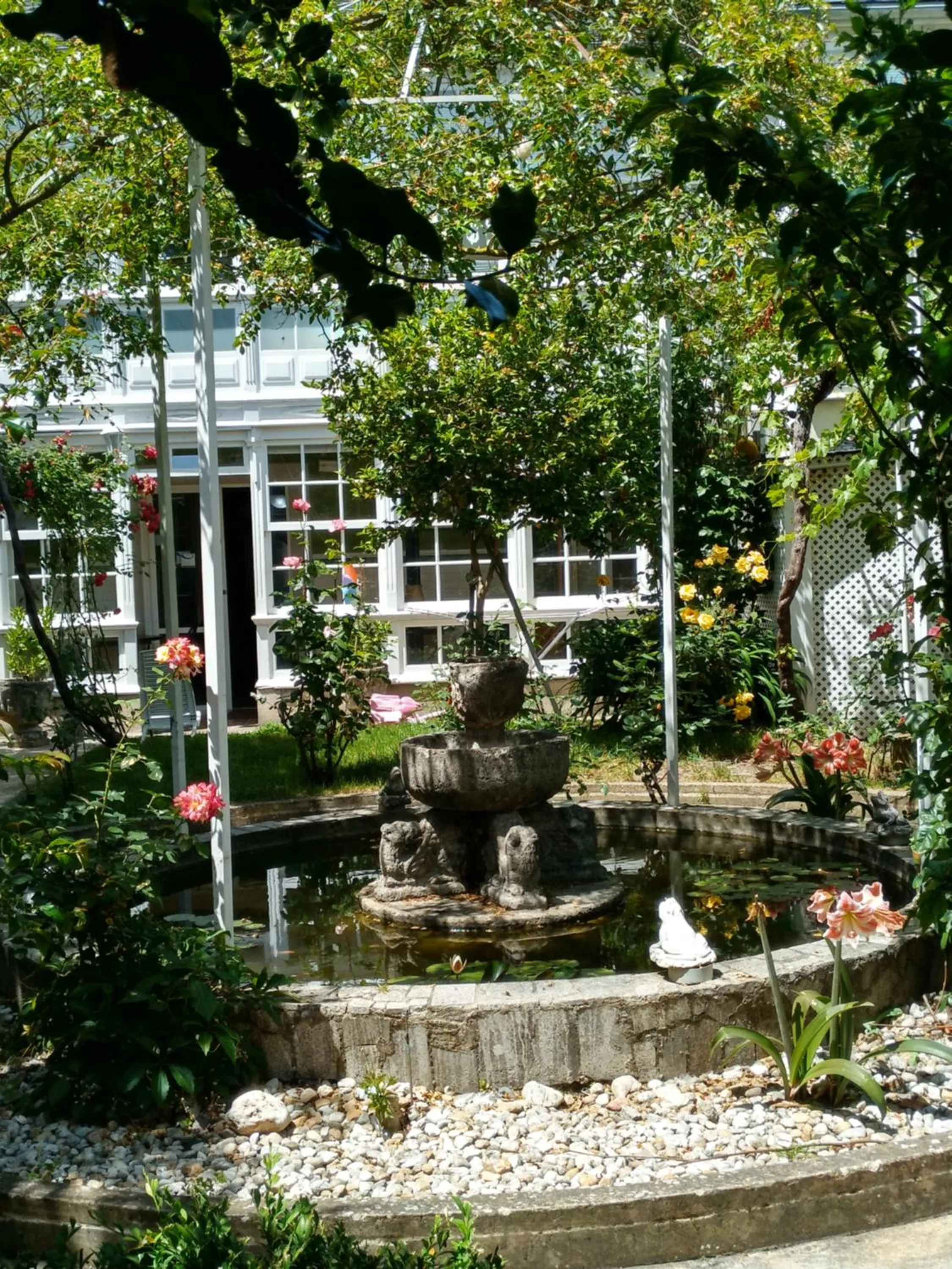 Patio in Pension-Albergue Don Alvaro