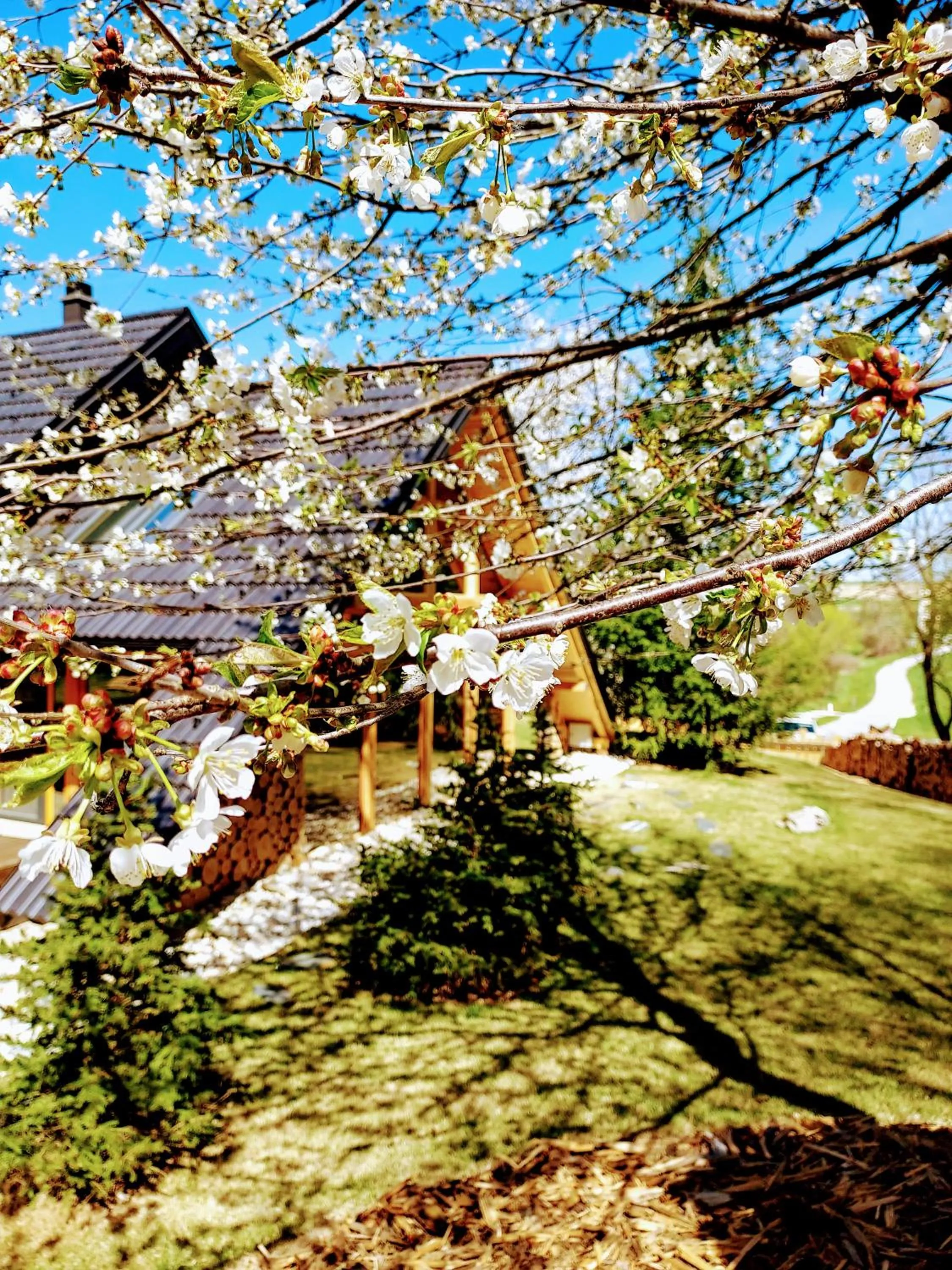 Property building in Koča na samem