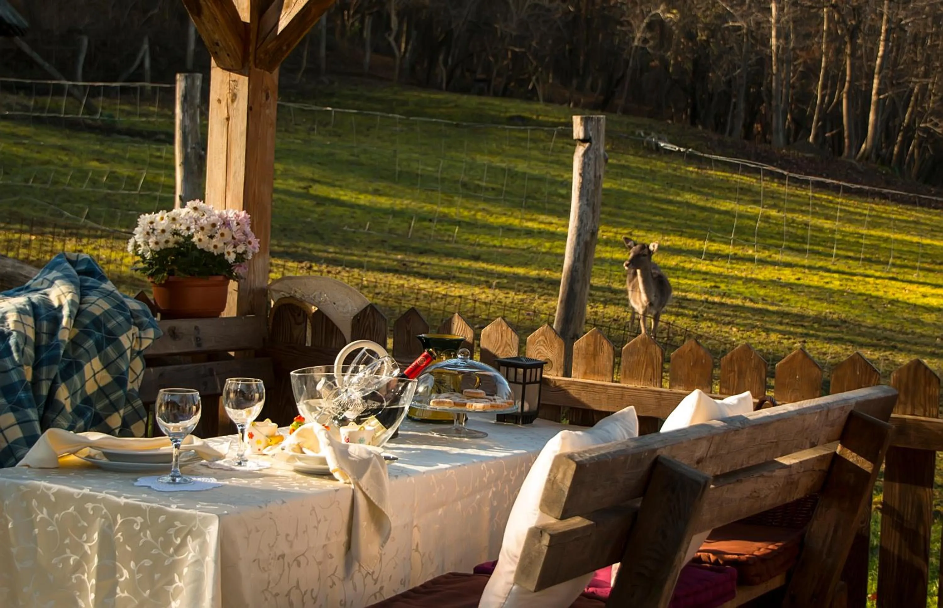 Seating area in Koča na samem