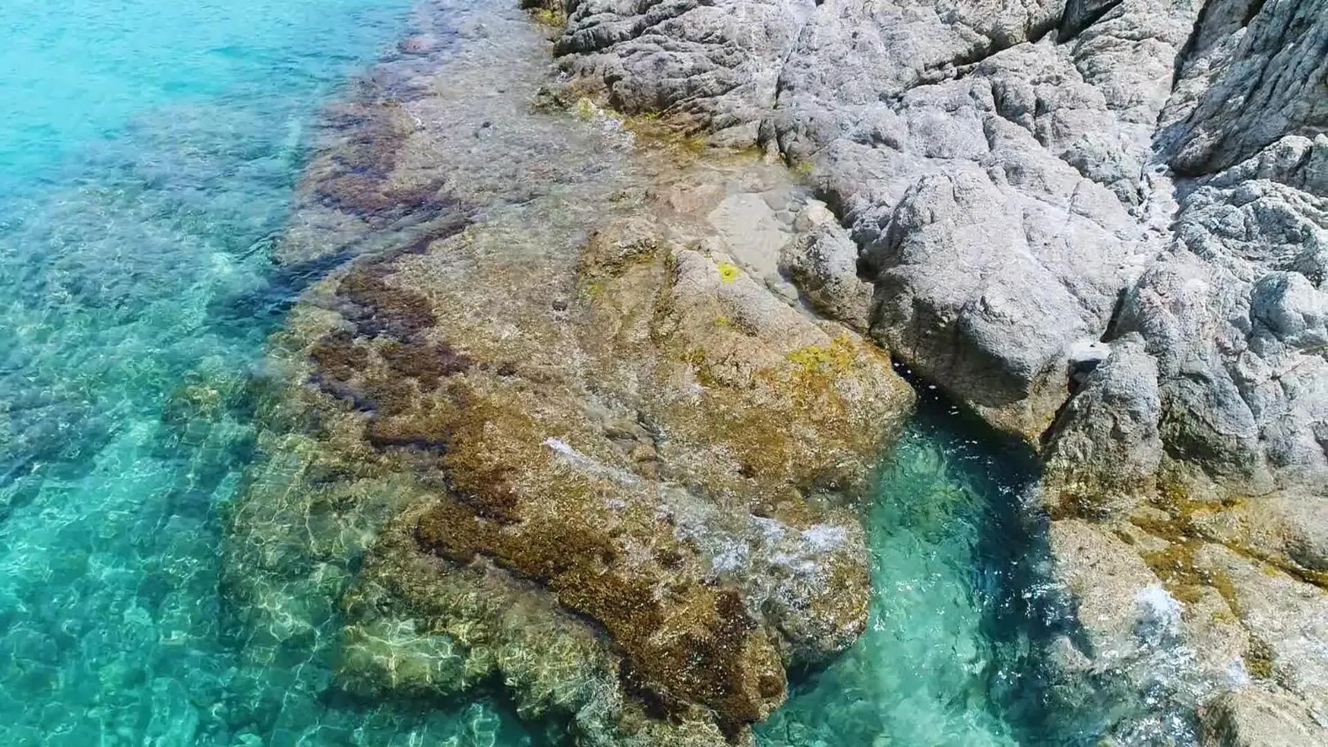Natural landscape in Hôtel Sampiero