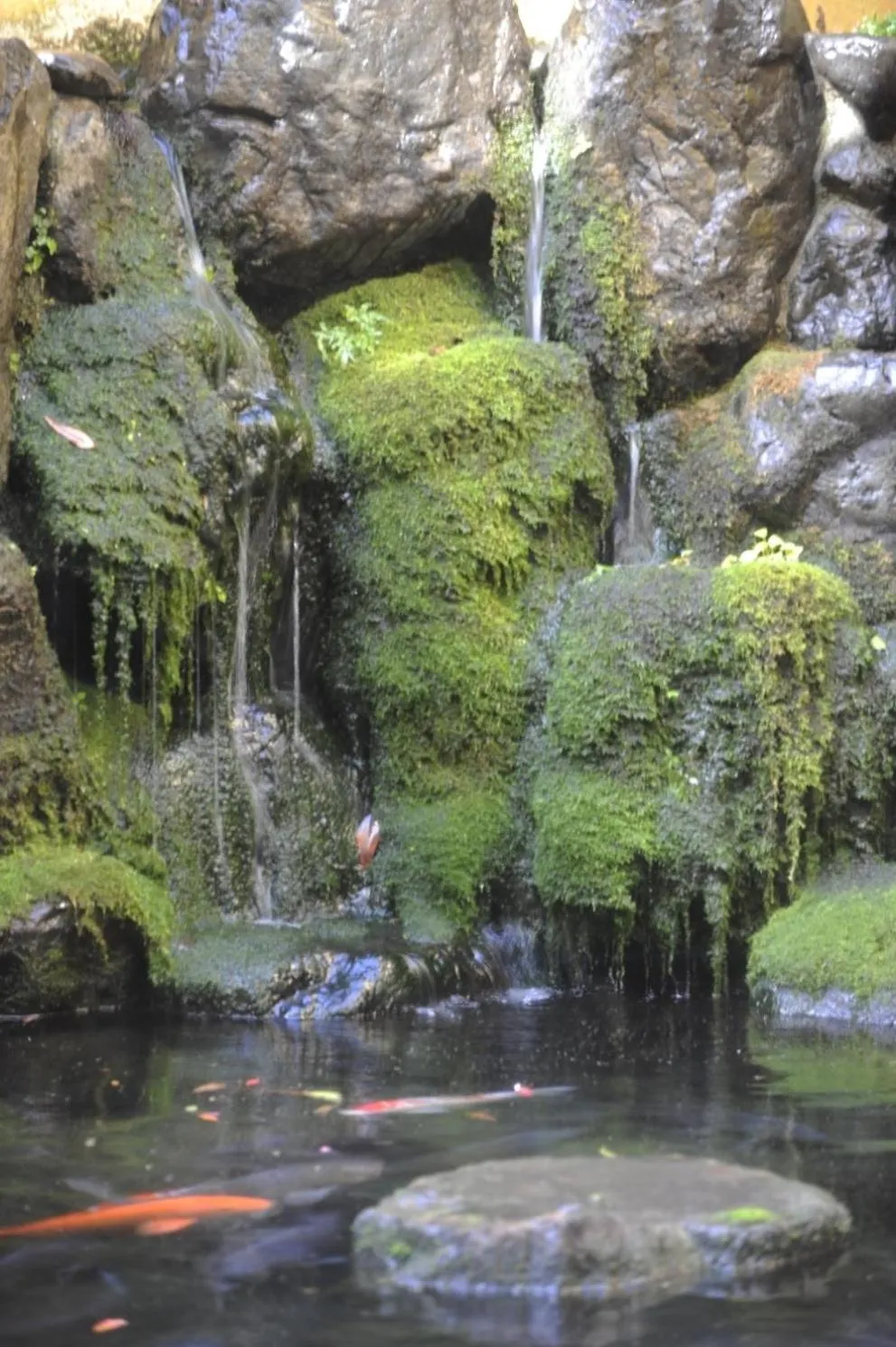 Other in Saga Grace Hotel